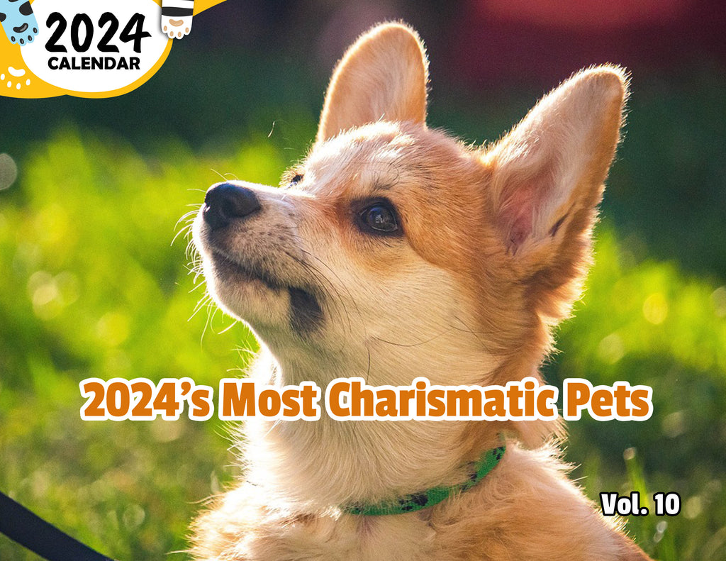 2024's Most Charismatic Pets Volume Ten: 2024 Wall Calendar (Published)
