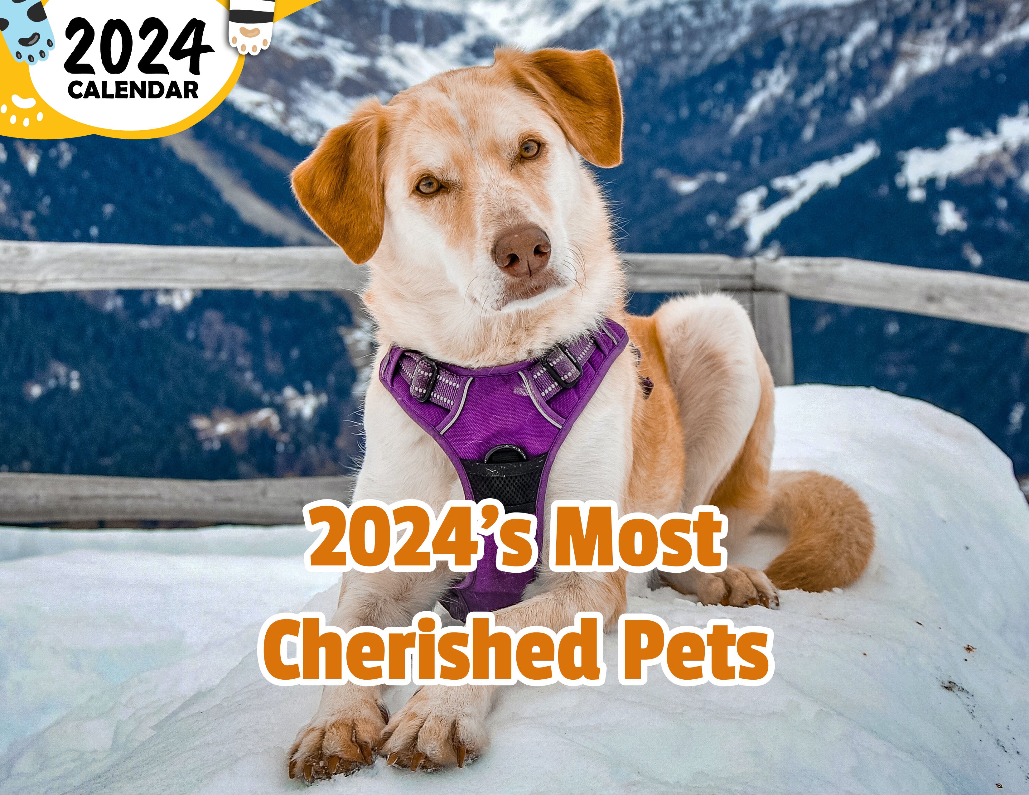 2024's Most Cherished Pets: 2024 Wall Calendar (Published)