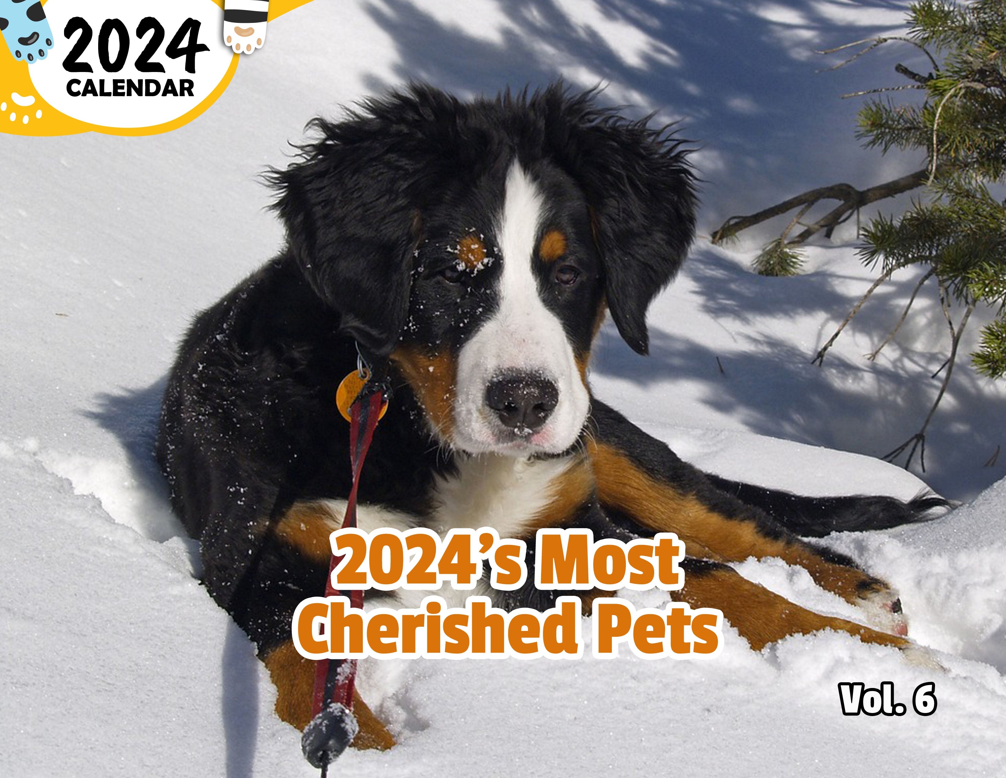 2024's Most Cherished Pets Volume Six: 2024 Wall Calendar (Published)