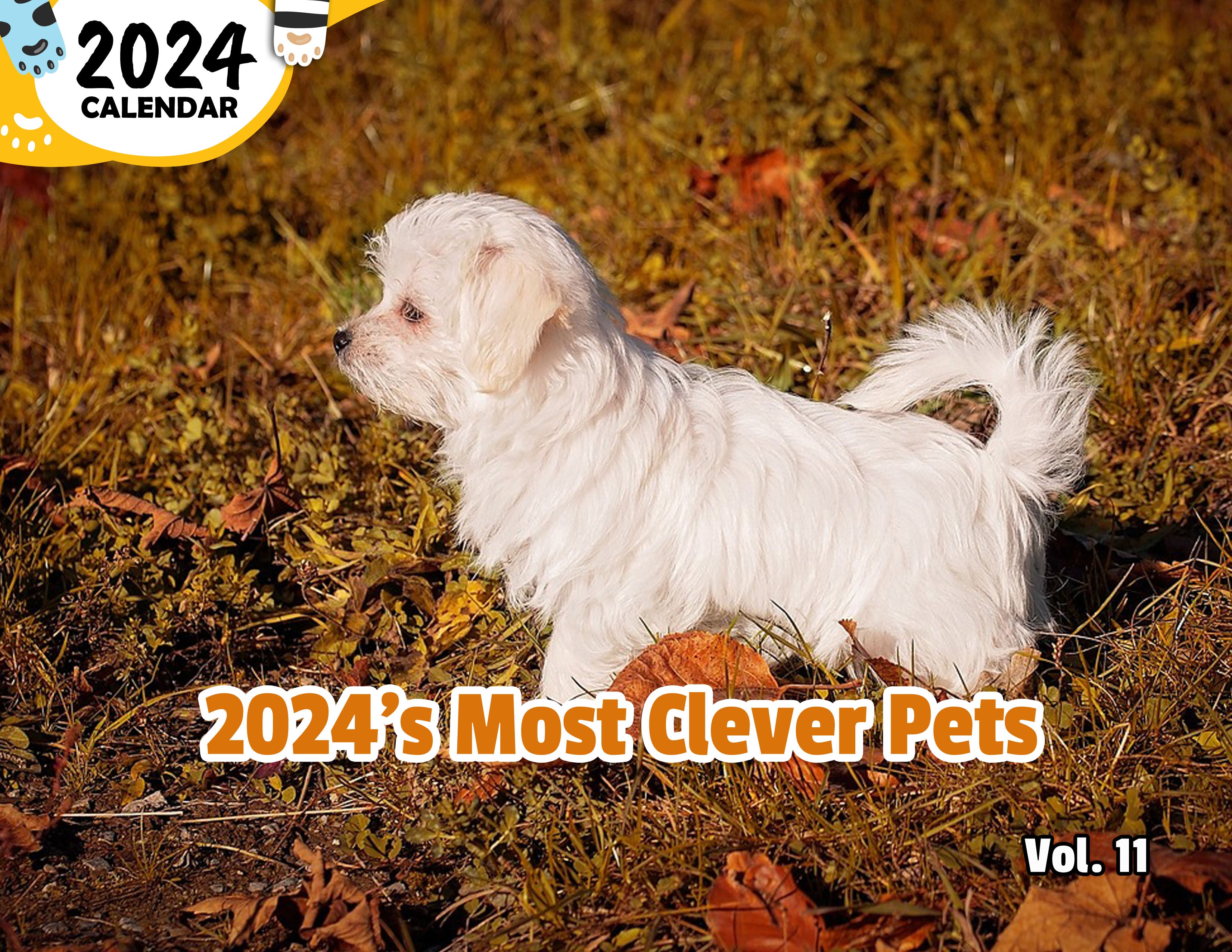 2024's Most Clever Pets Volume Eleven: 2024 Wall Calendar (Published)