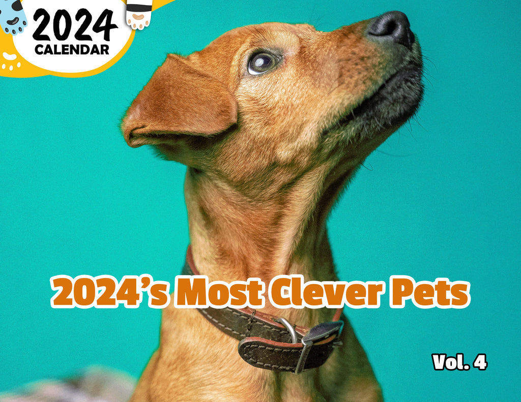 2024's Most Clever Pets Volume Four: 2024 Wall Calendar (Published)