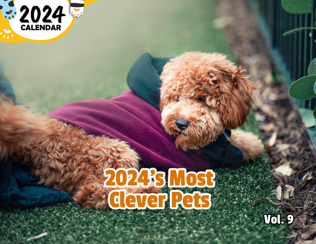 2024's Most Clever Pets Volume Nine: 2024 Wall Calendar (Published)