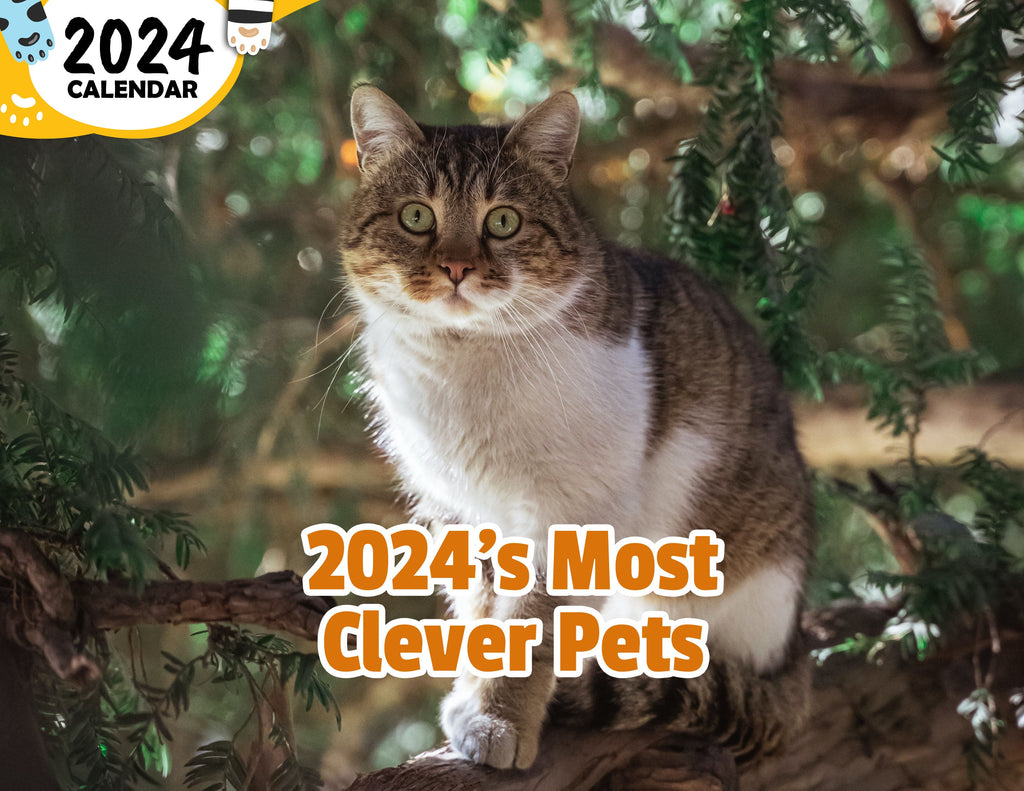 2024's Most Clever Pets: 2024 Wall Calendar (Published)