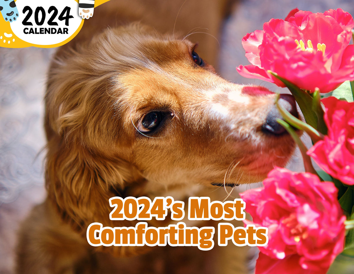 2025's Most Comforting Pets 2025 Wall Calendar (Published) Praise My