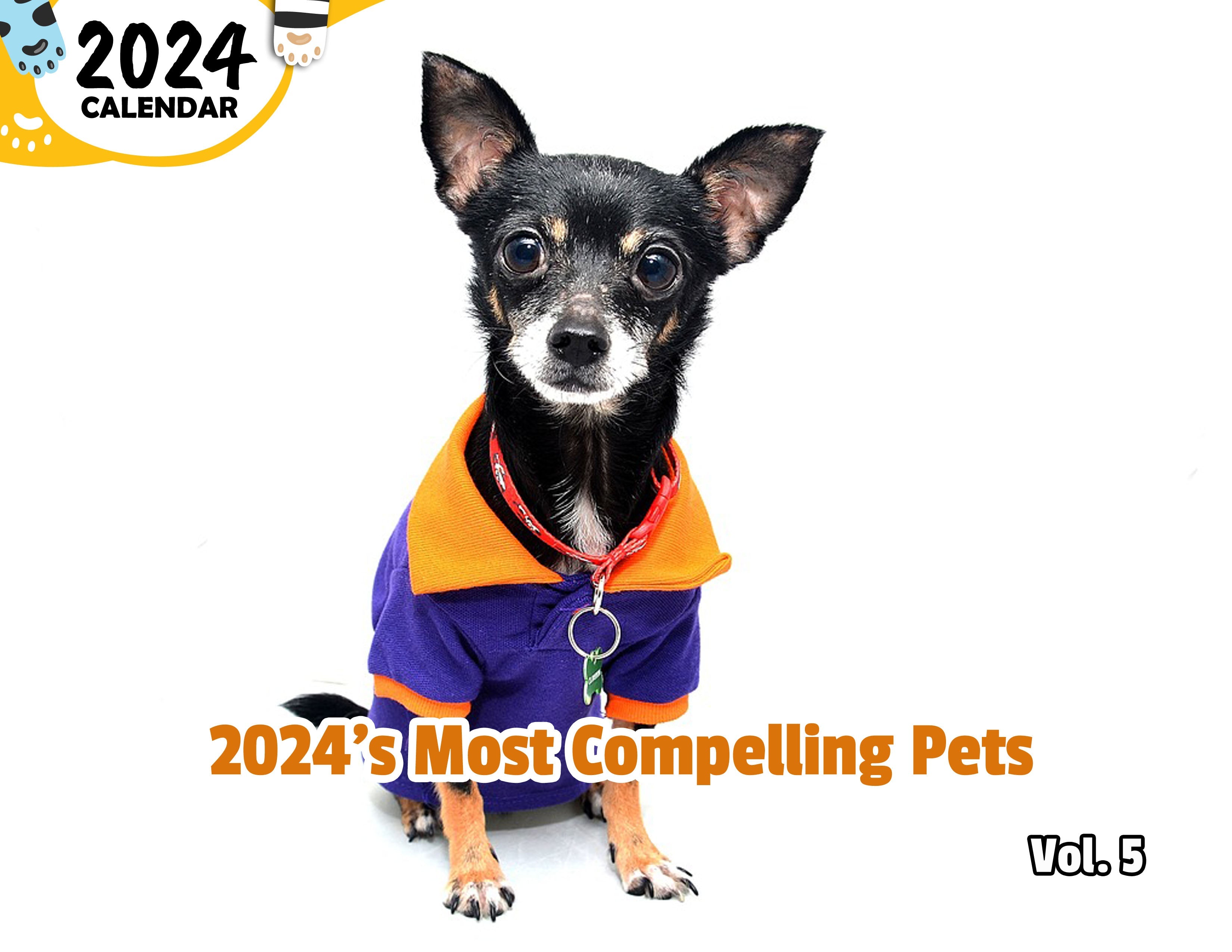 2024's Most Compelling Pets Volume Five: 2024 Wall Calendar (Published)