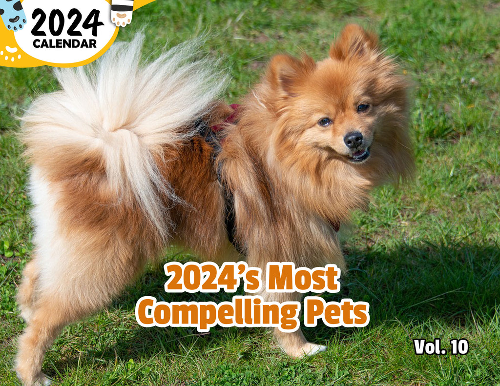 2024's Most Compelling Pets Volume Ten: 2024 Wall Calendar (Published)