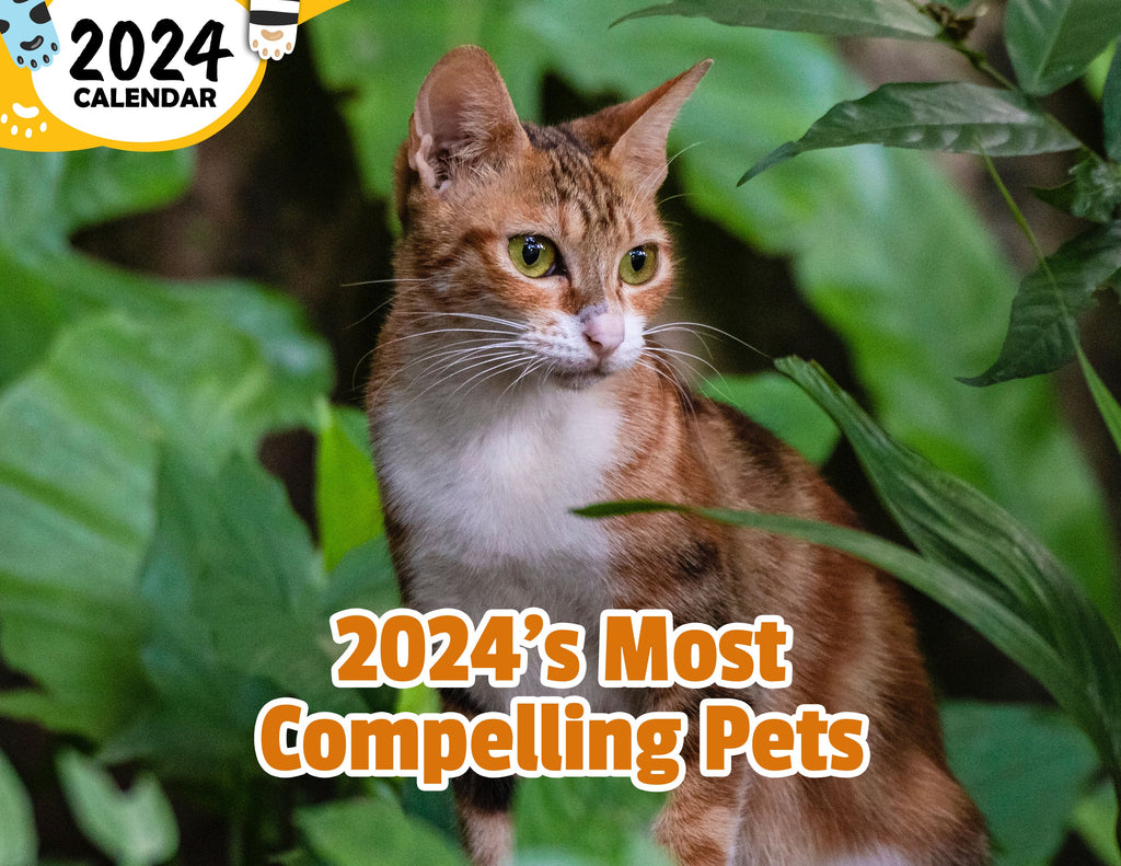 2024's Most Compelling Pets: 2024 Wall Calendar (Published)
