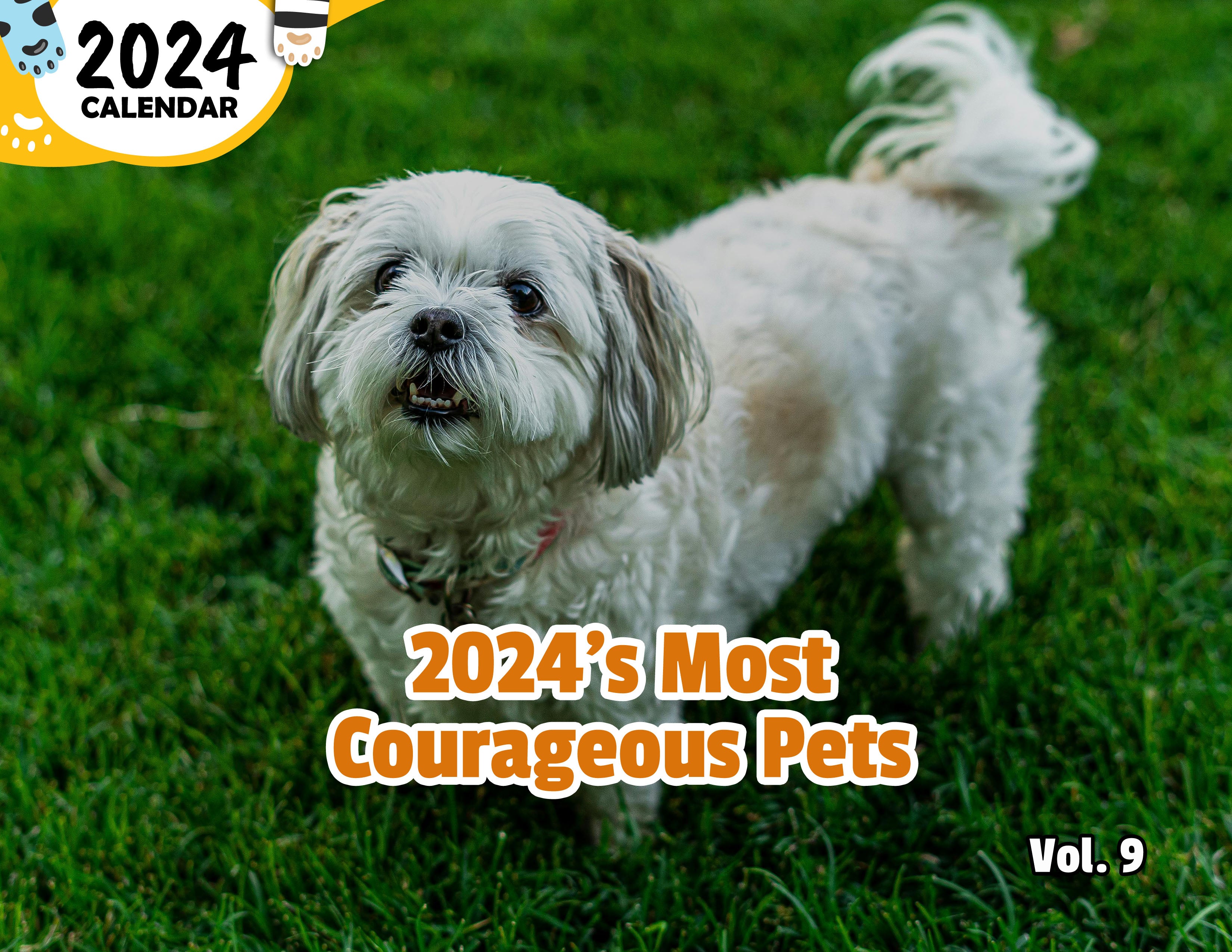 2024's Most Courageous Pets Volume Nine: 2024 Wall Calendar (Published)