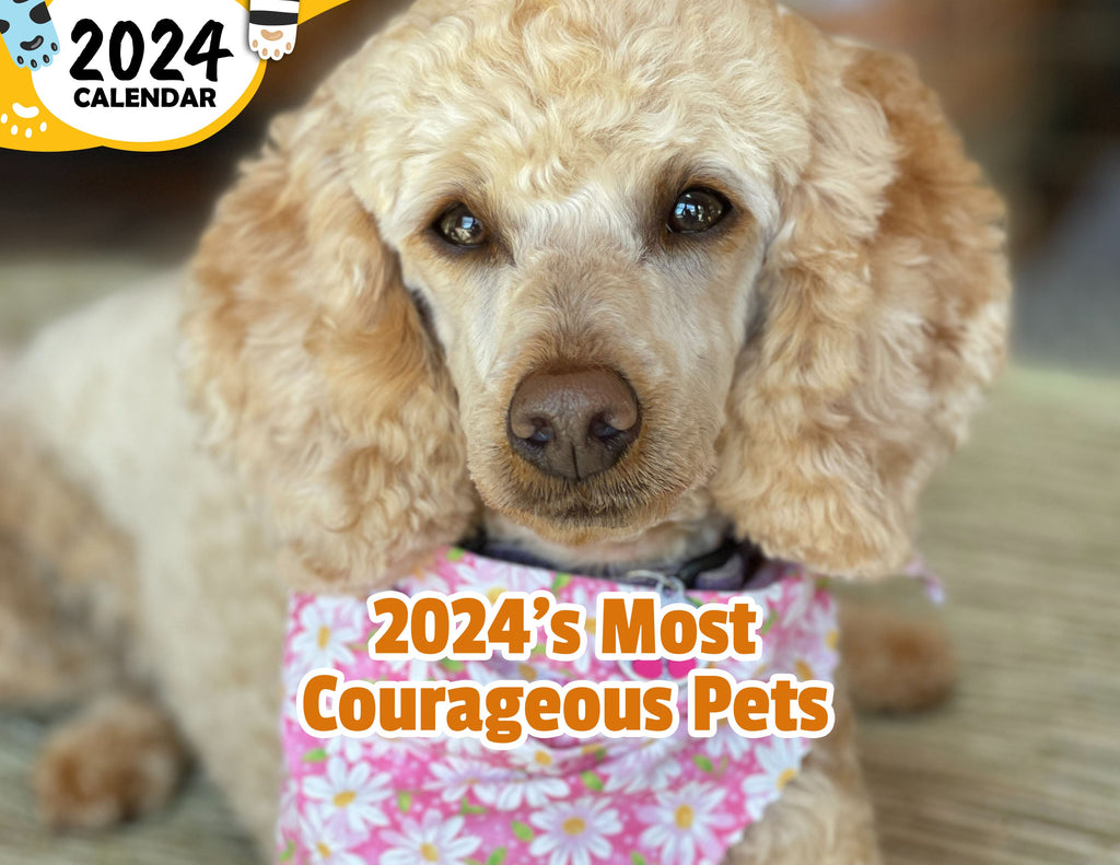 2024's Most Courageous Pets: 2024 Wall Calendar (Published)