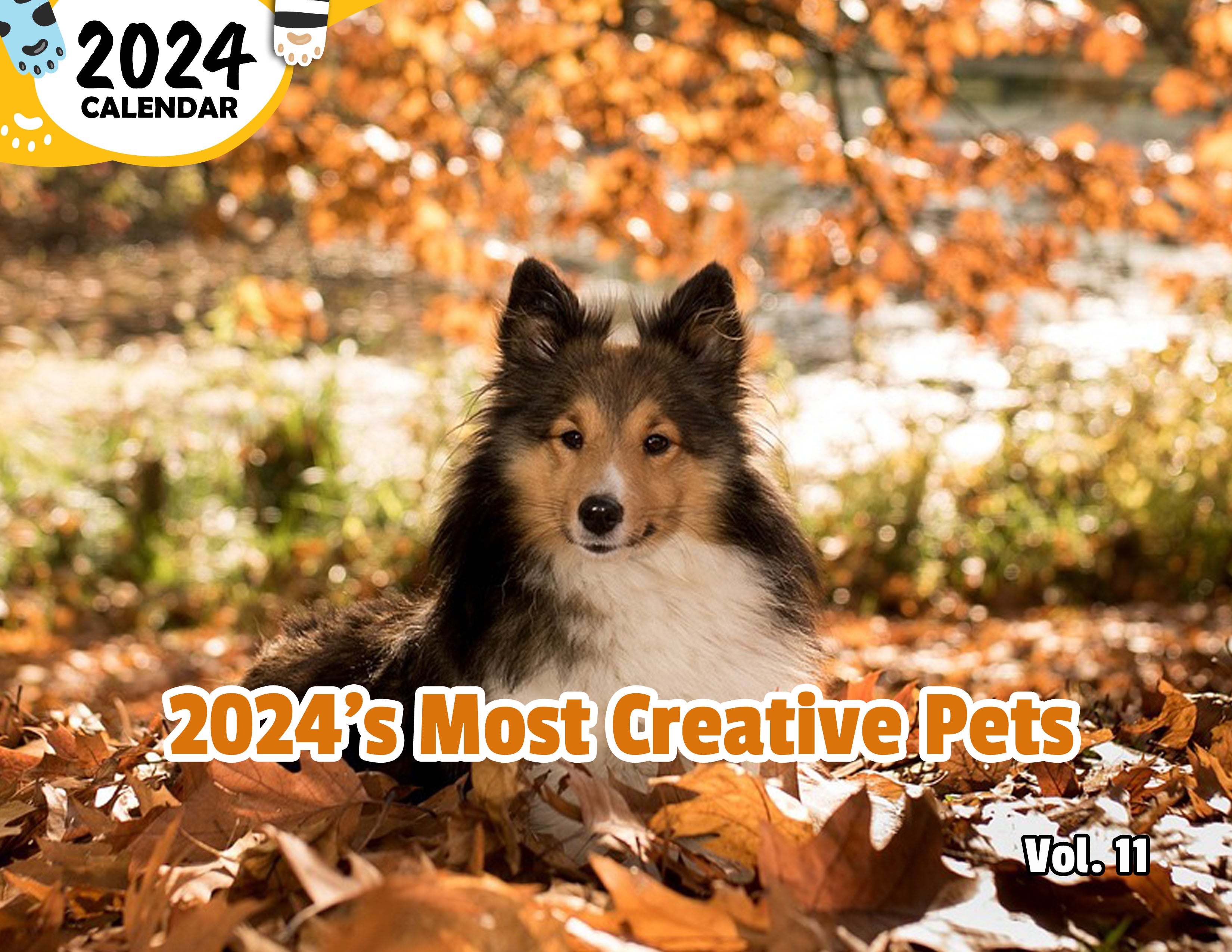 2024's Most Creative Pets Volume Eleven: 2024 Wall Calendar (Published)