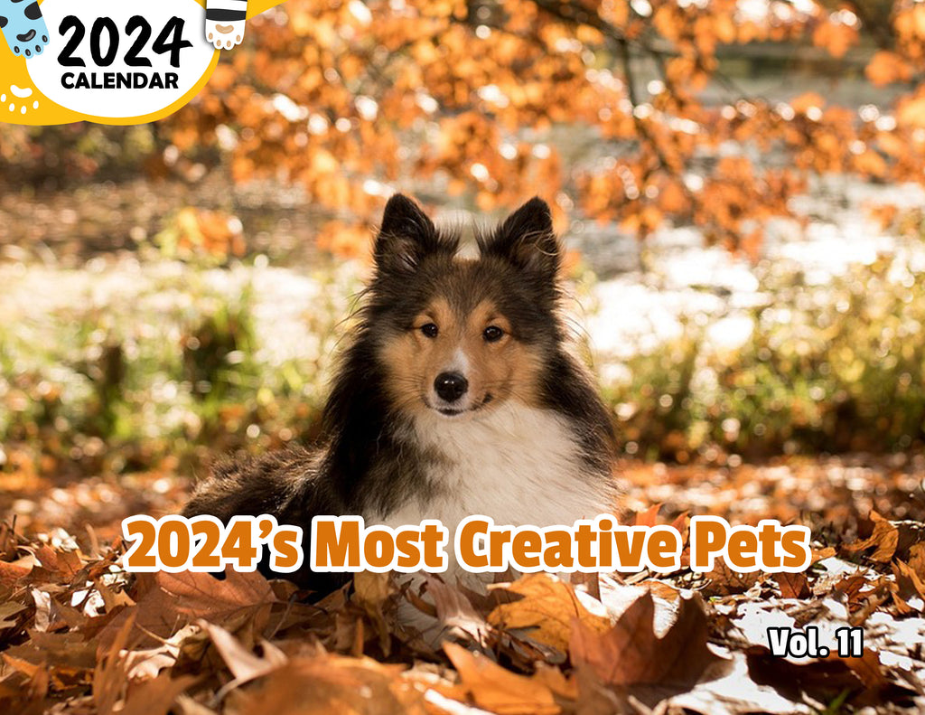 2024's Most Creative Pets Volume Eleven: 2024 Wall Calendar (Published)