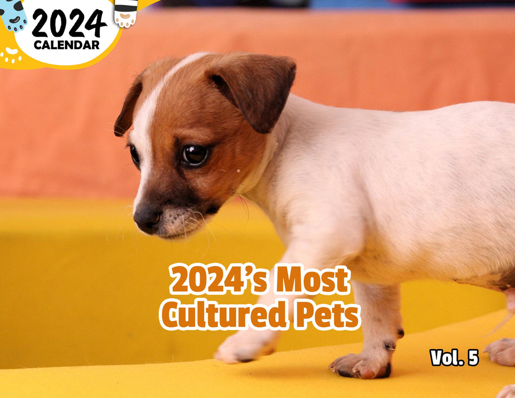 2024's Most Cultured Pets Volume Five: 2024 Wall Calendar (Published)
