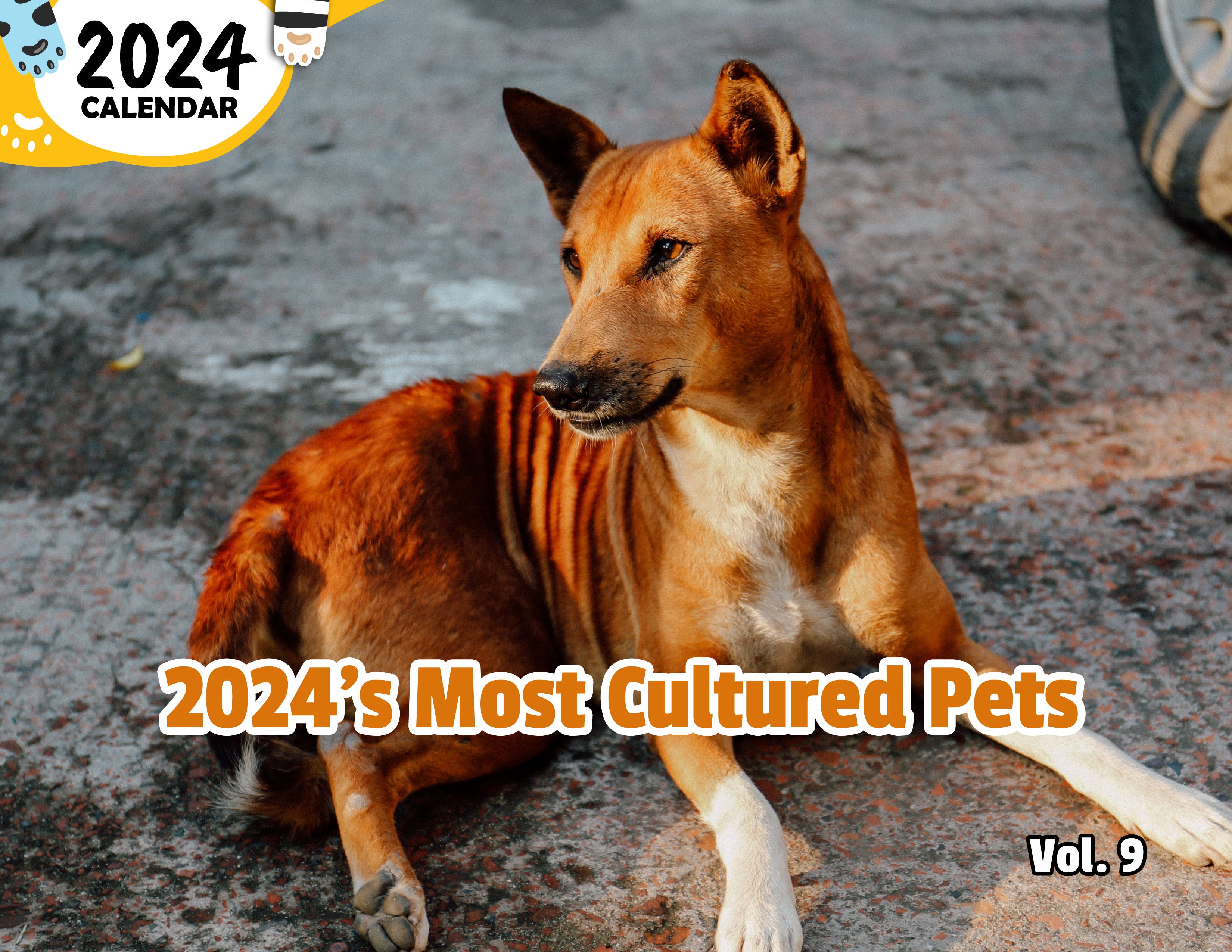 2024's Most Cultured Pets Volume Nine: 2024 Wall Calendar (Published)