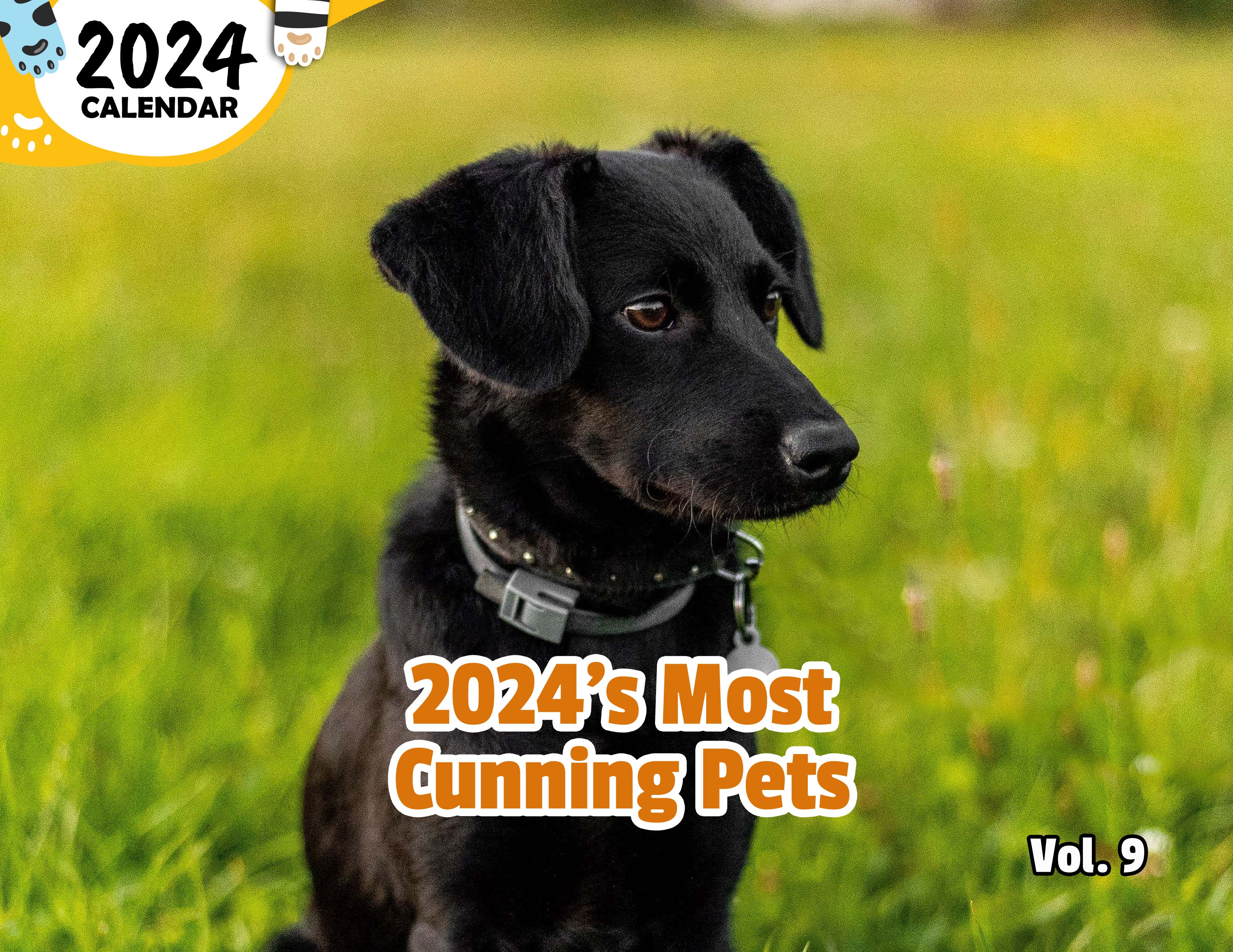2024's Most Cunning Pets Volume Nine: 2024 Wall Calendar (Published)