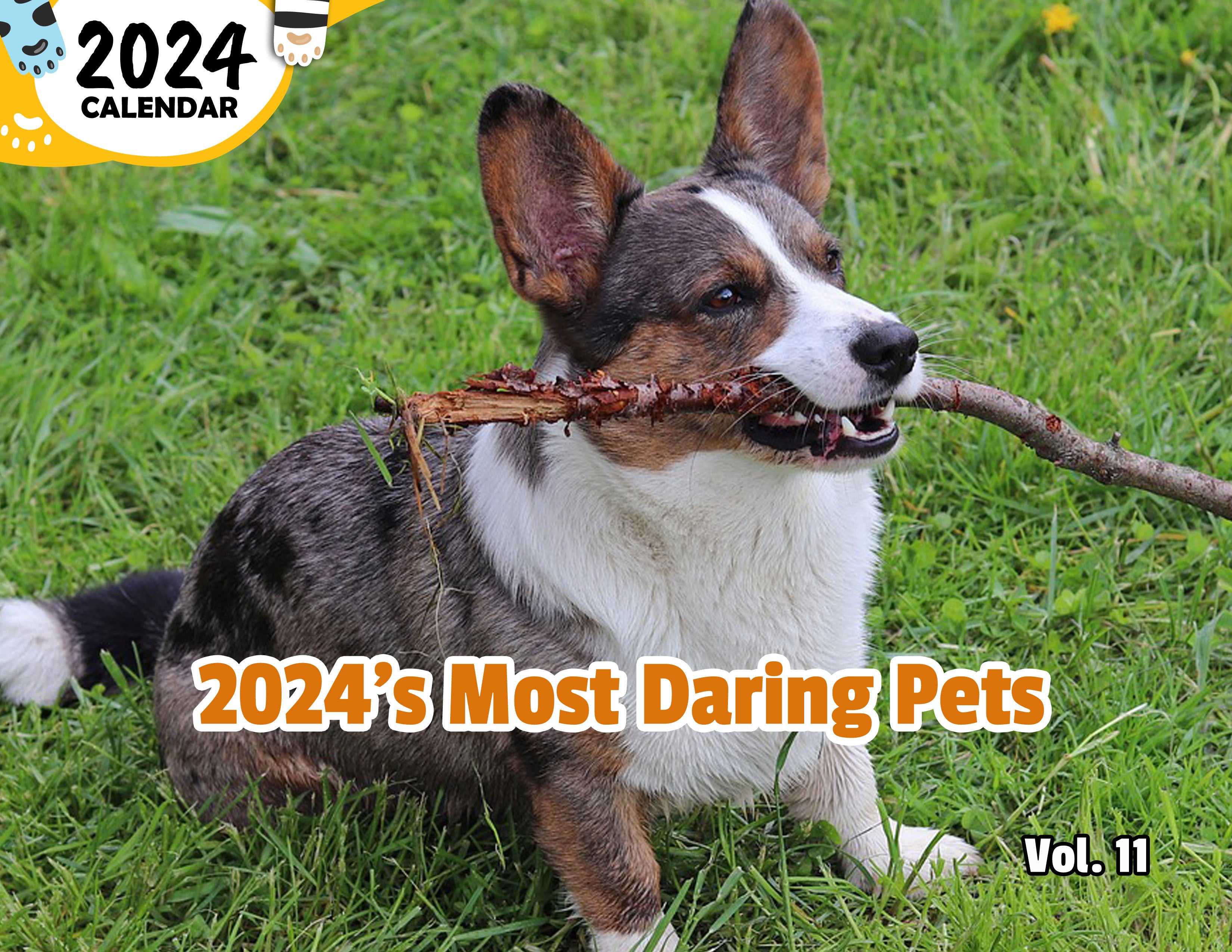 2024's Most Daring Pets Volume Eleven: 2024 Wall Calendar (Published)