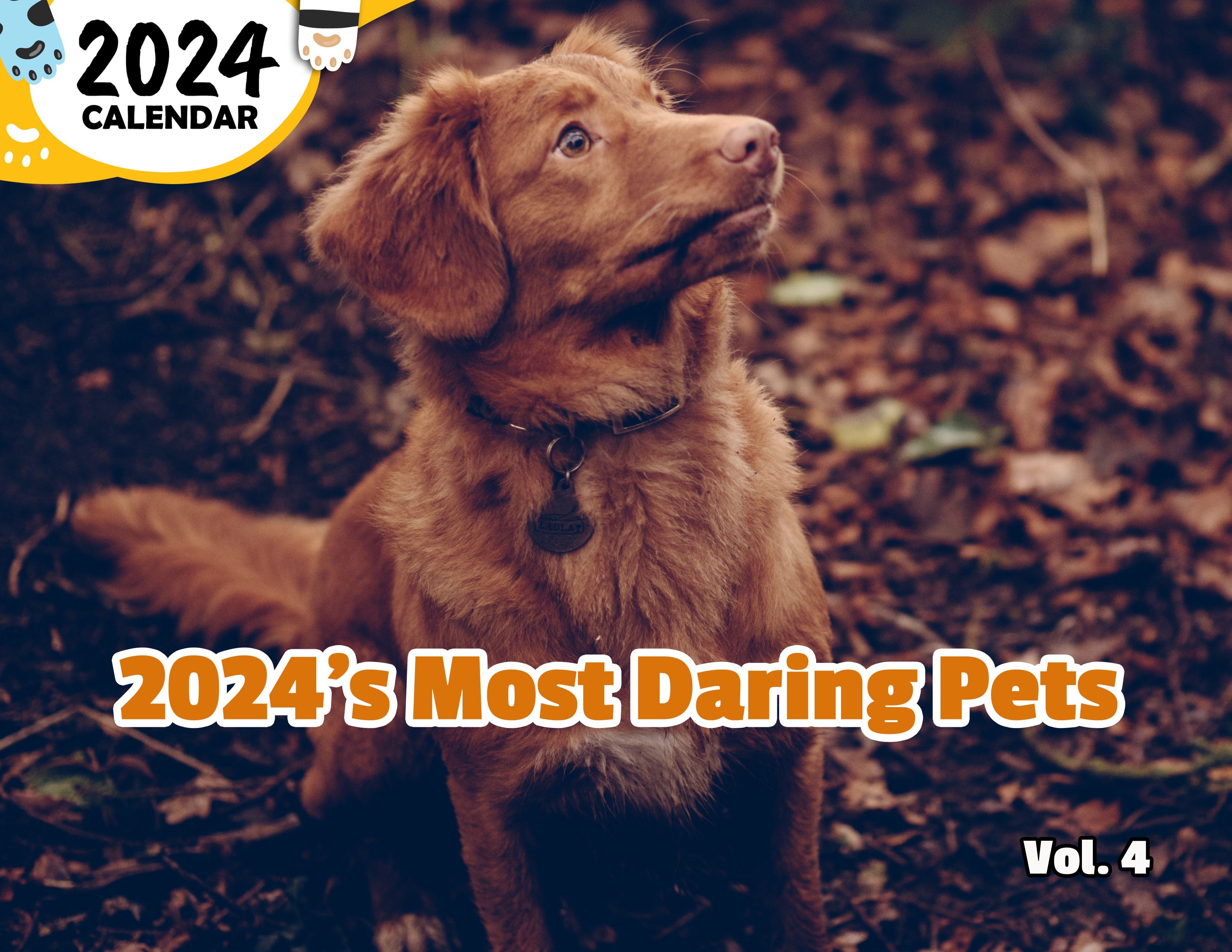 2024's Most Daring Pets Volume Four: 2024 Wall Calendar (Published)