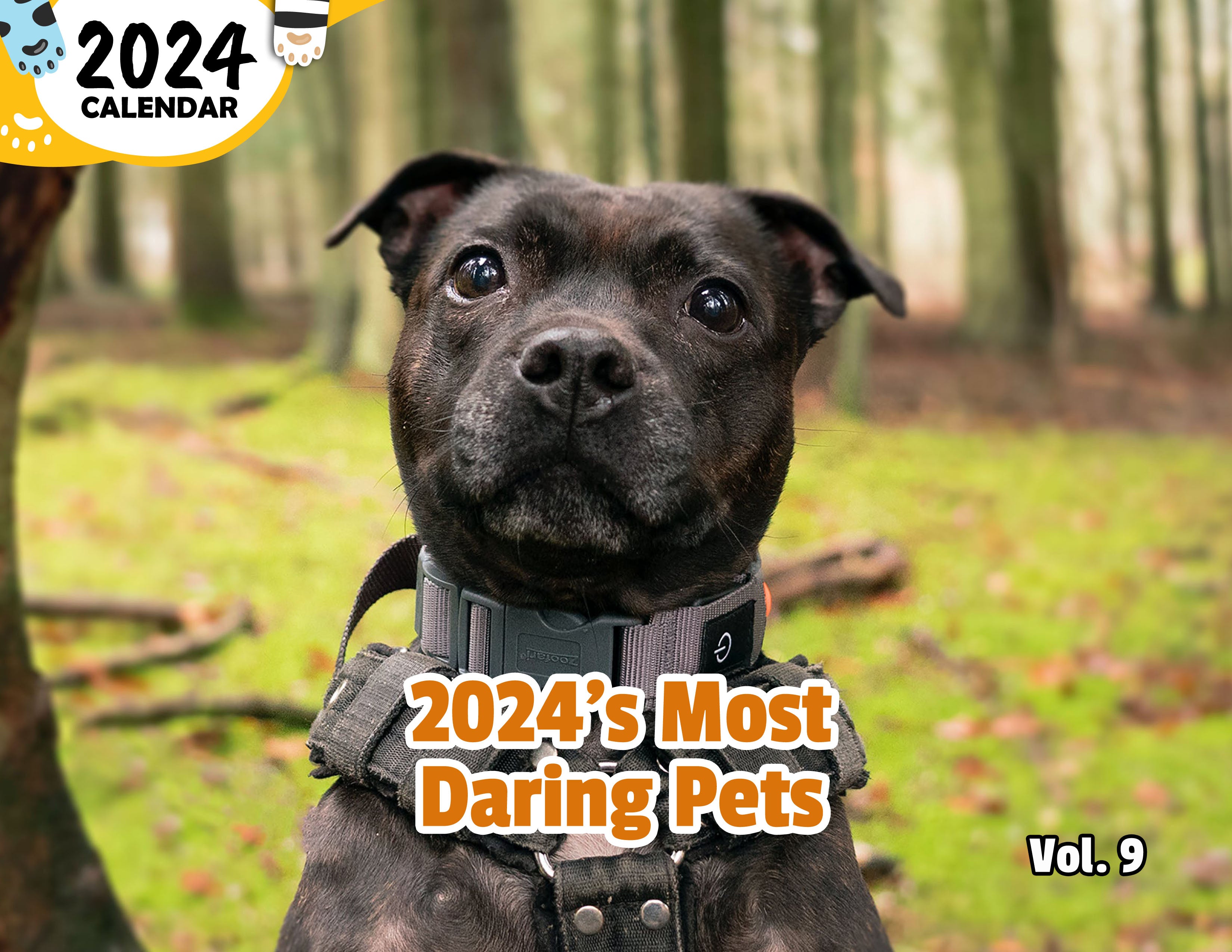 2024's Most Daring Pets Volume Nine: 2024 Wall Calendar (Published)