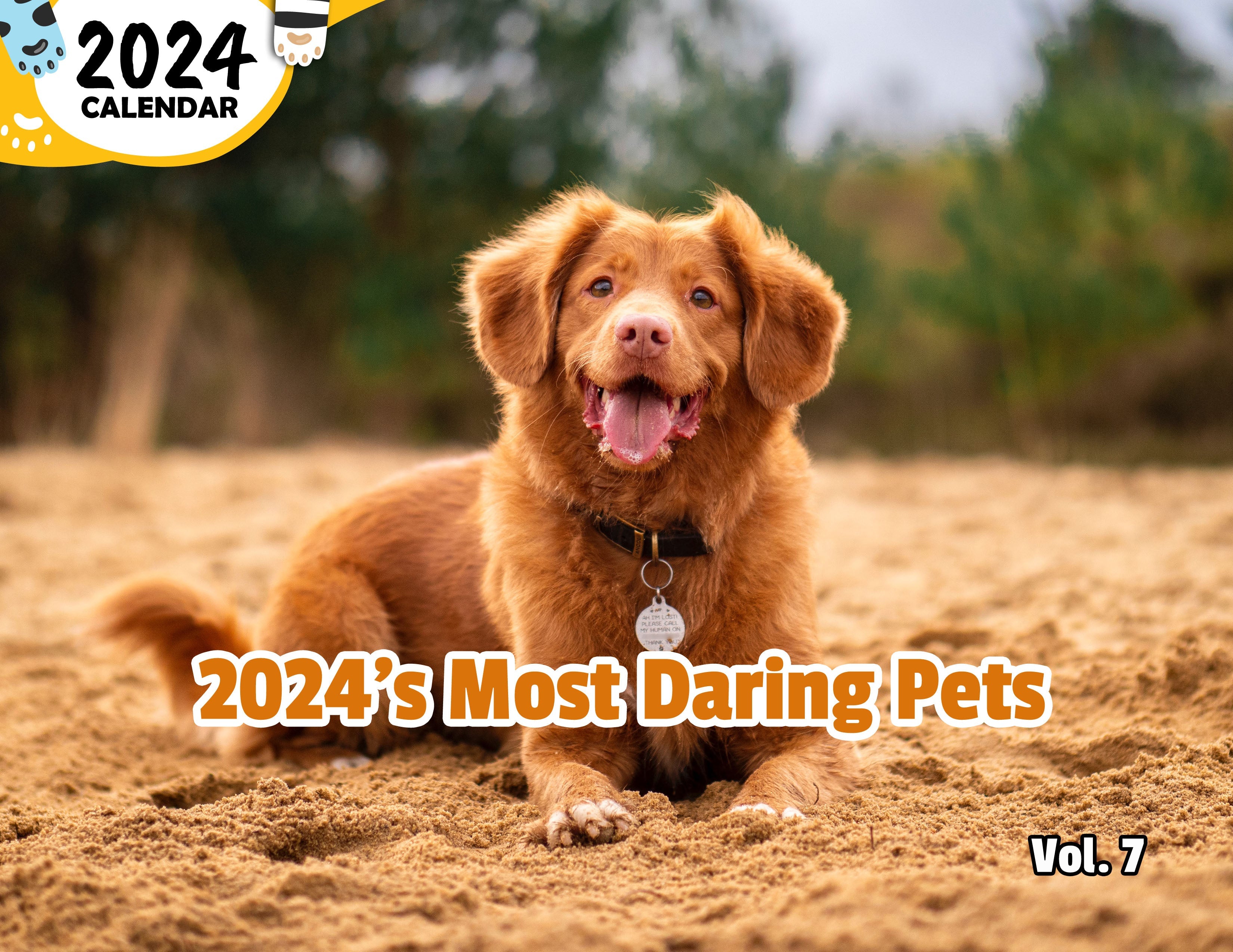 2024's Most Daring Pets Volume Seven: 2024 Wall Calendar (Published)