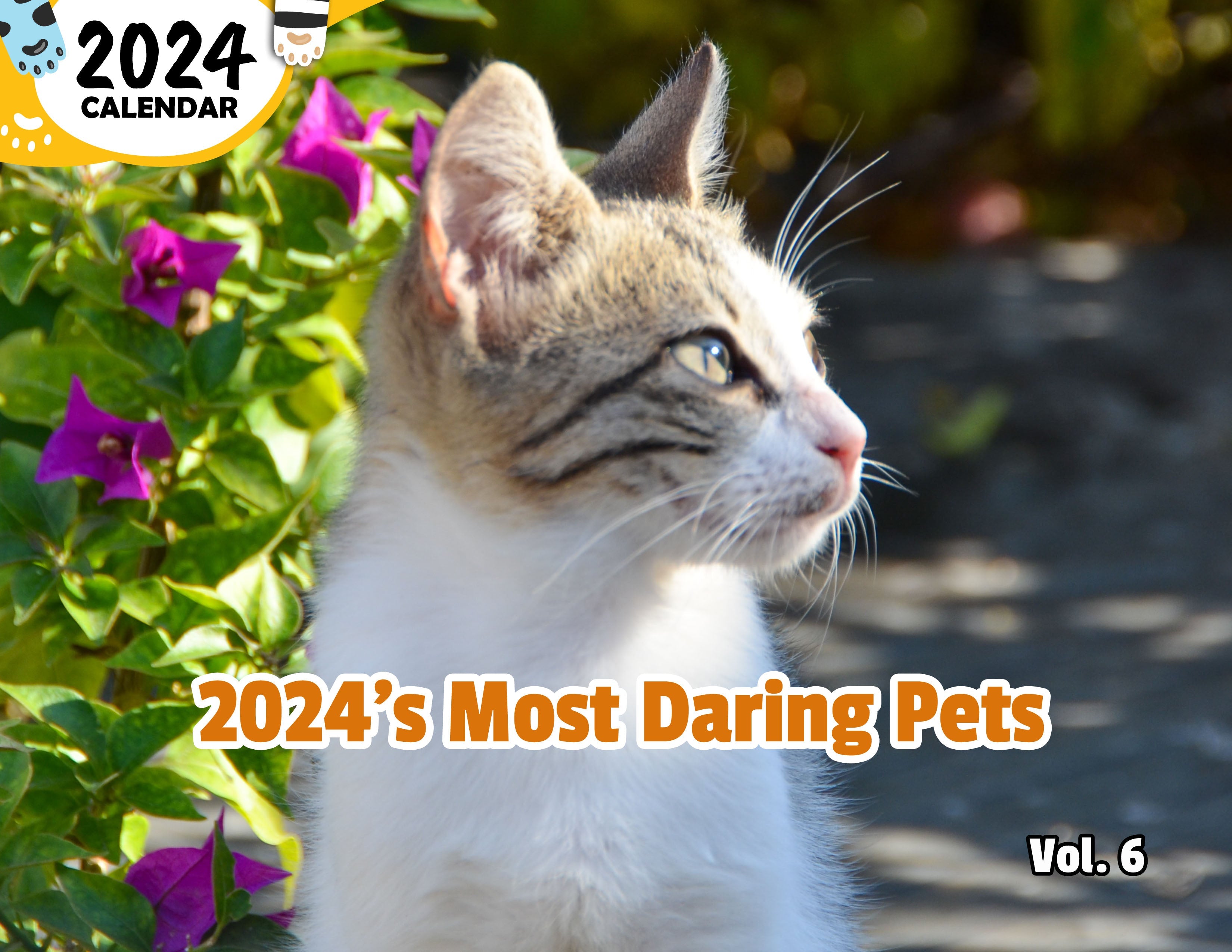 2024's Most Daring Pets Volume Six: 2024 Wall Calendar (Published)