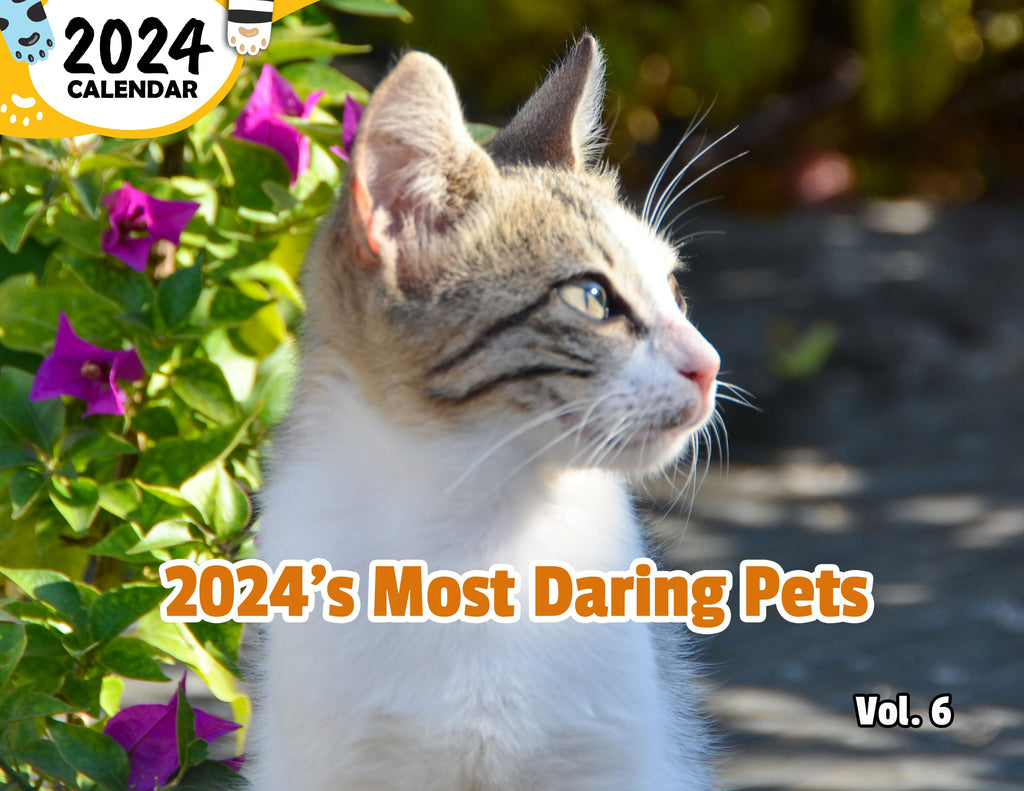 2024's Most Daring Pets Volume Six: 2024 Wall Calendar (Published)