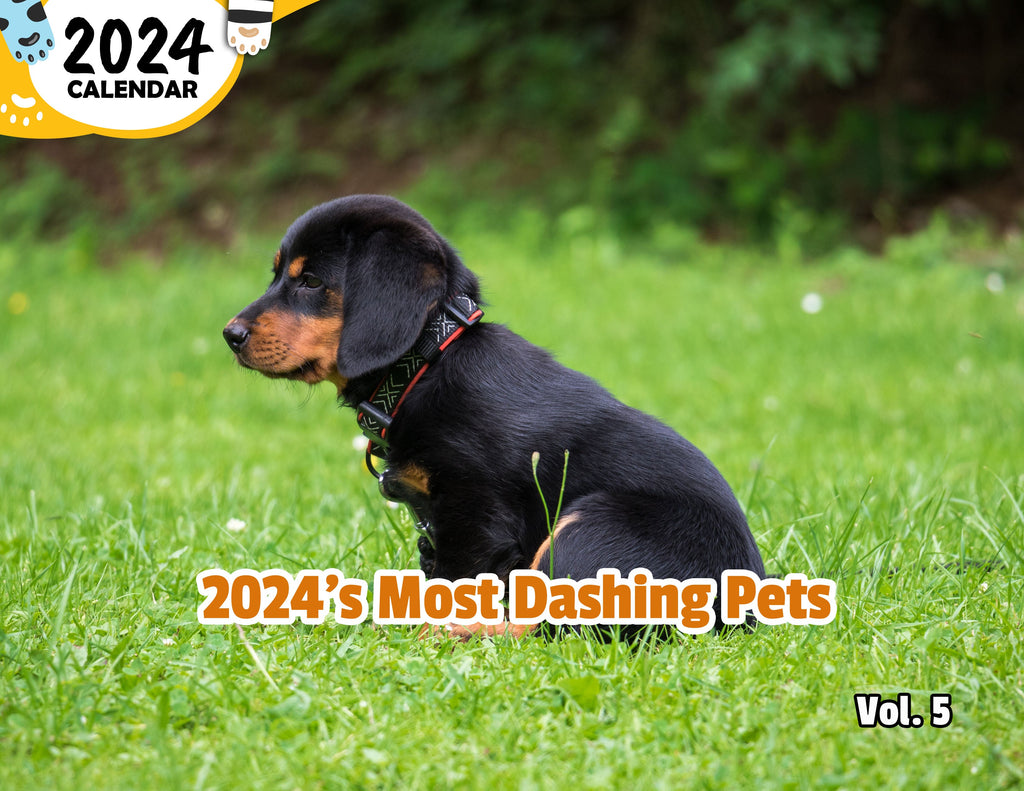 2024's Most Dashing Pets Volume Five: 2024 Wall Calendar (Published)