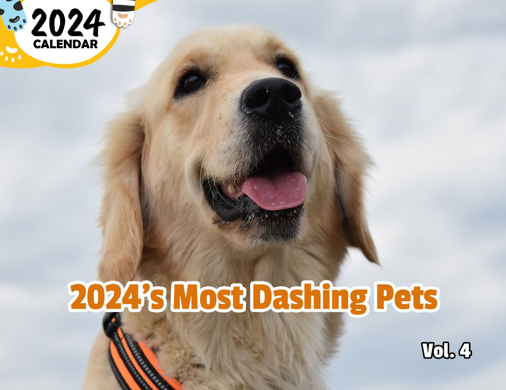 2024's Most Dashing Pets Volume Four: 2024 Wall Calendar (Published)