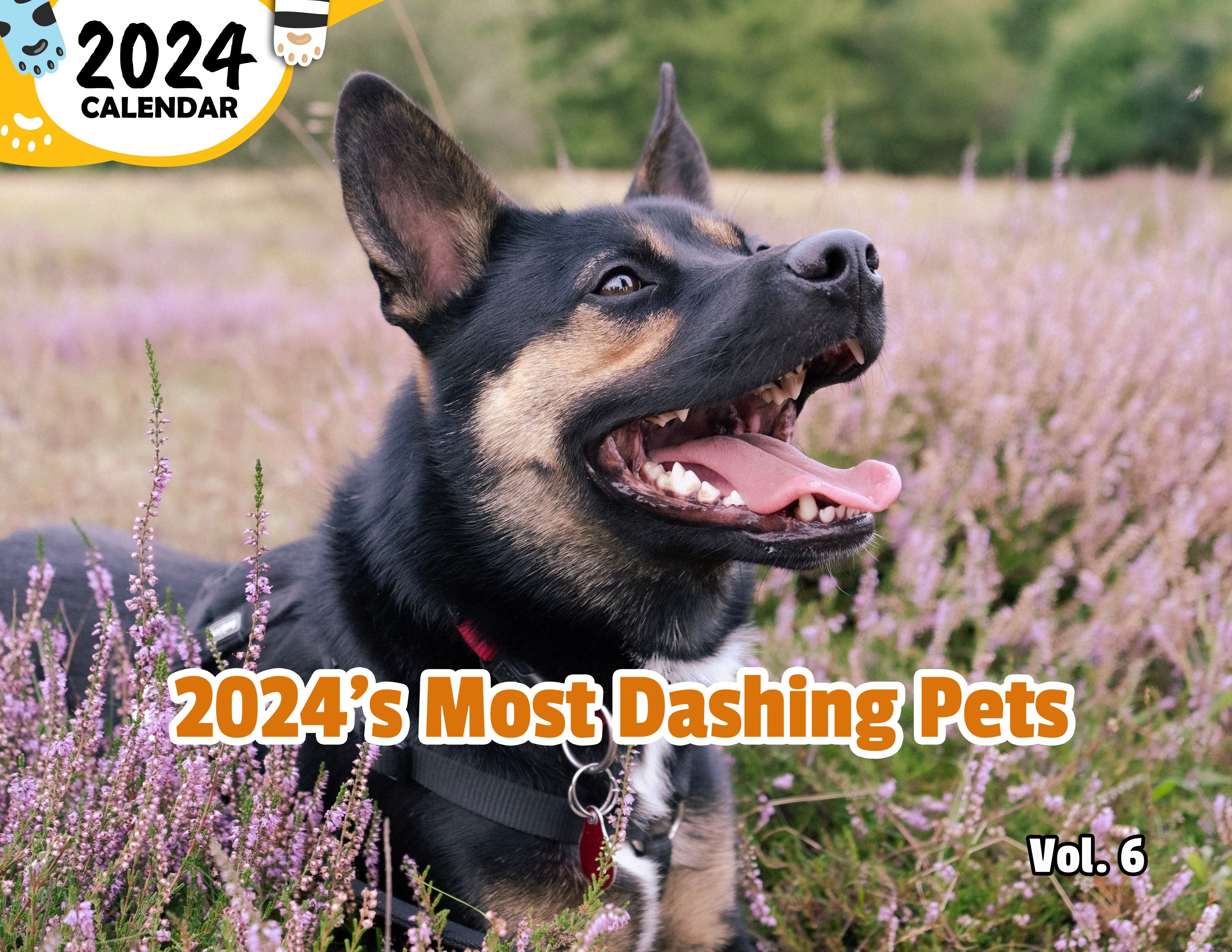 2024's Most Dashing Pets Volume Six: 2024 Wall Calendar (Published)