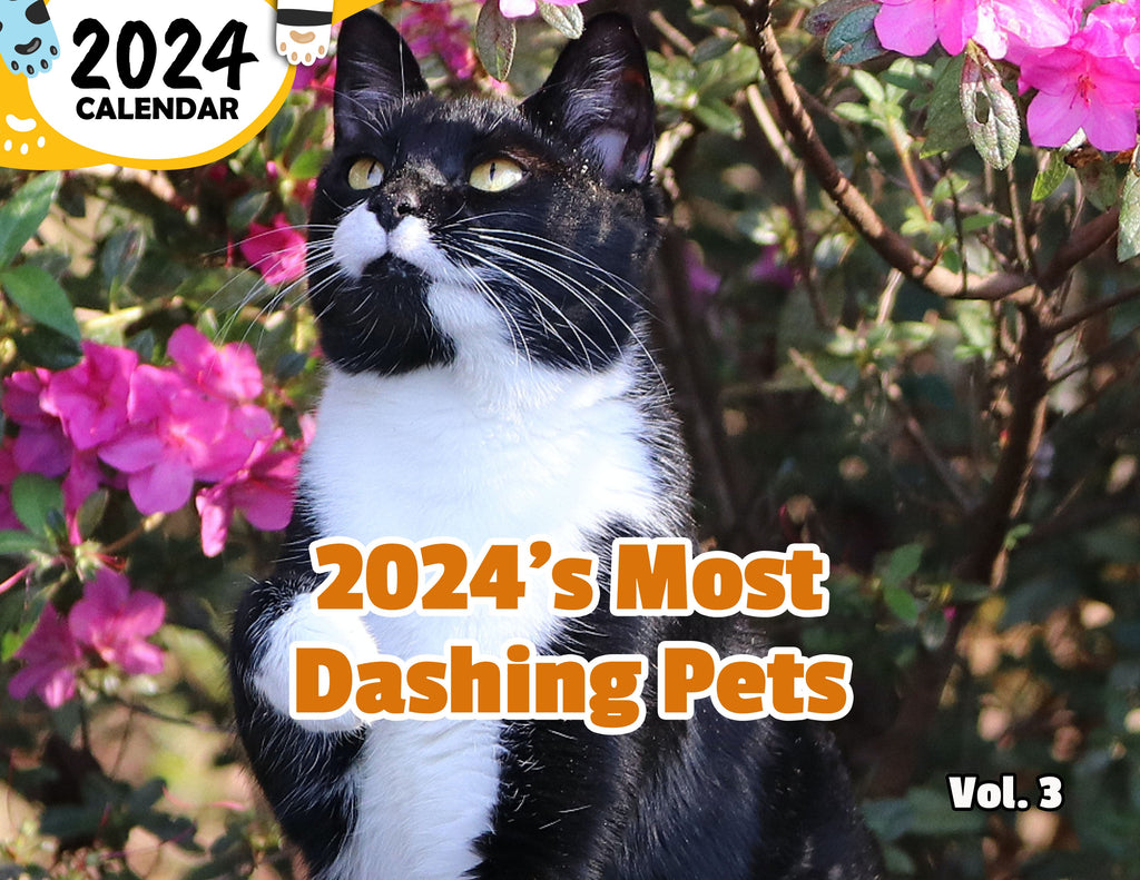 2024's Most Dashing Pets Volume Three: 2024 Wall Calendar (Published)