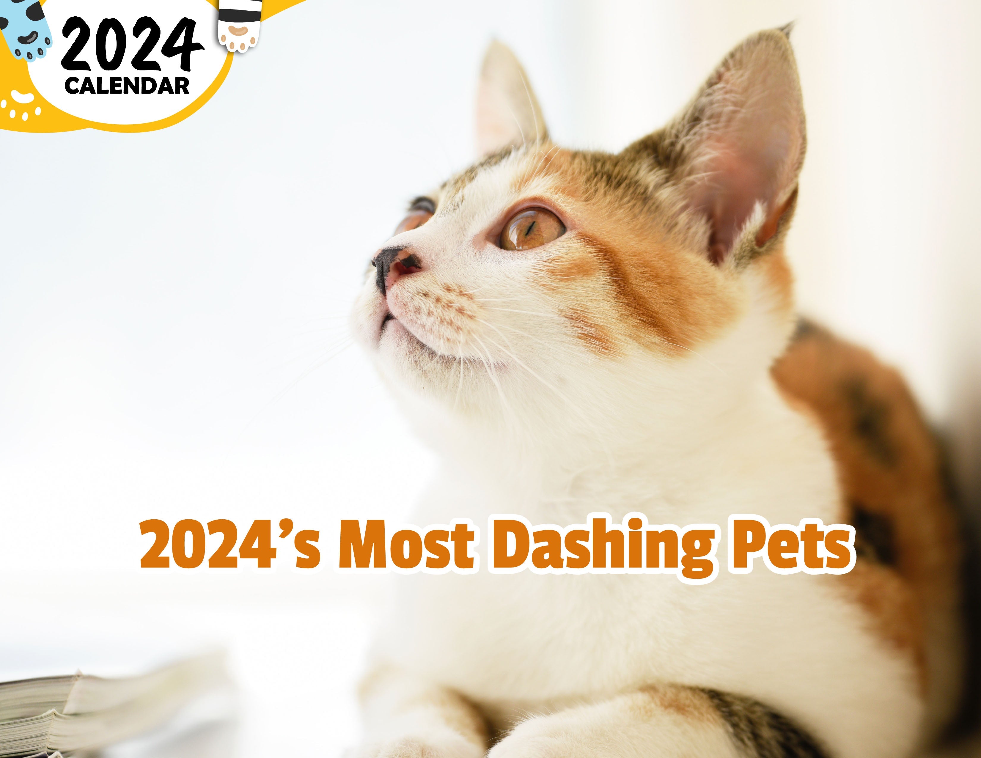 2024's Most Dashing Pets: 2024 Wall Calendar (Published)