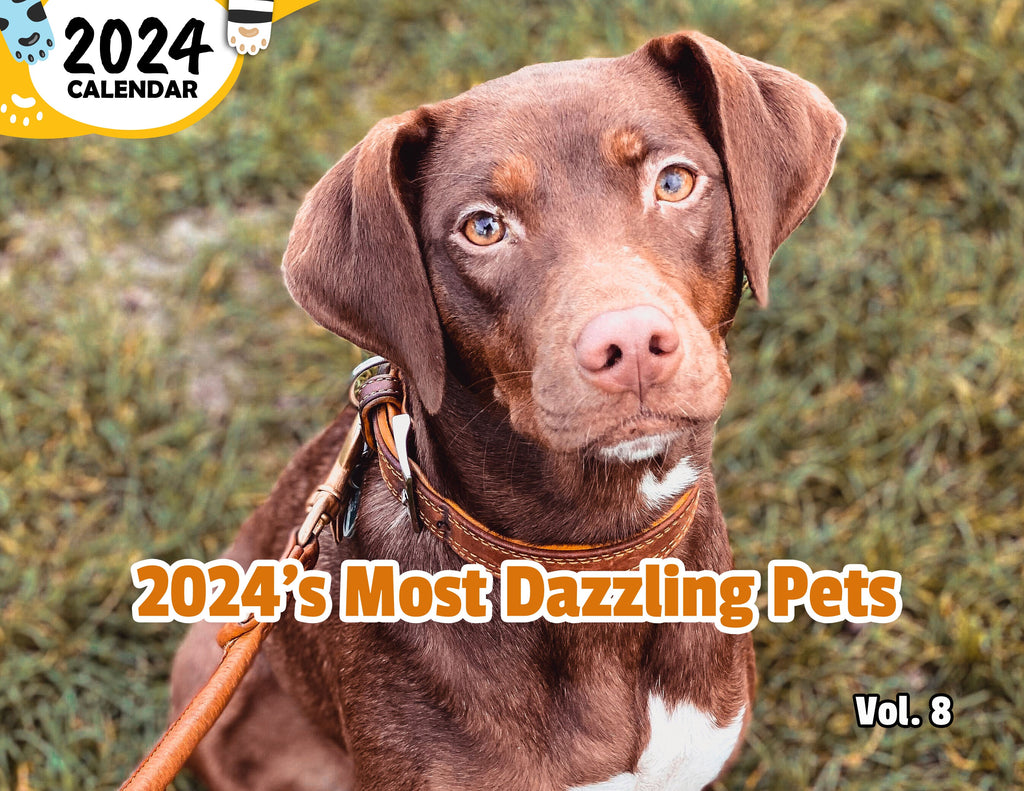 2024's Most Dazzling Pets Volume Eight: 2024 Wall Calendar (Published)