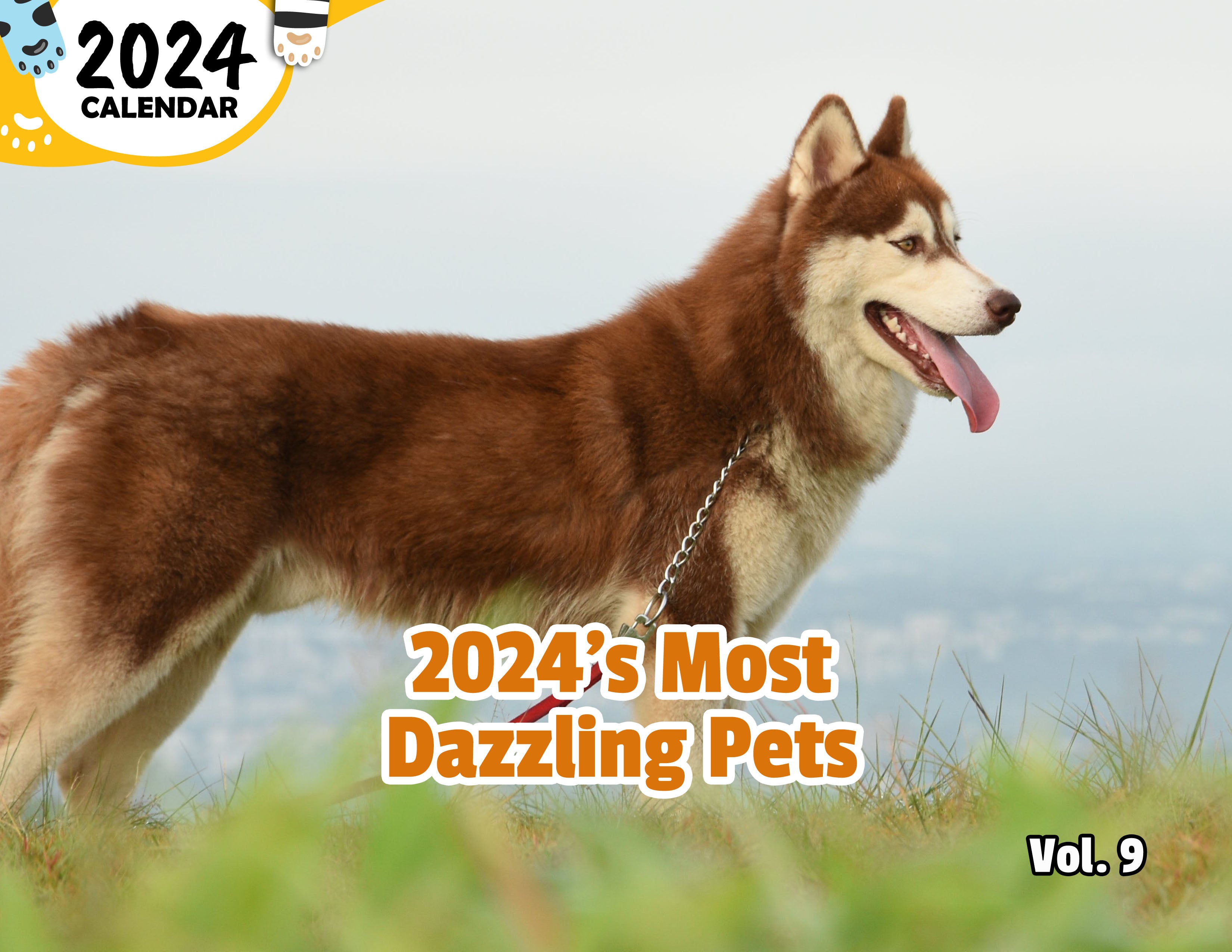 2024's Most Dazzling Pets Volume Nine: 2024 Wall Calendar (Published)