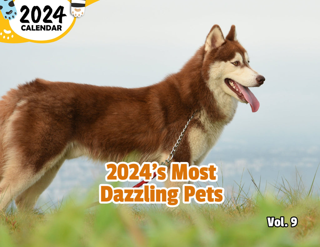 2024's Most Dazzling Pets Volume Nine: 2024 Wall Calendar (Published)