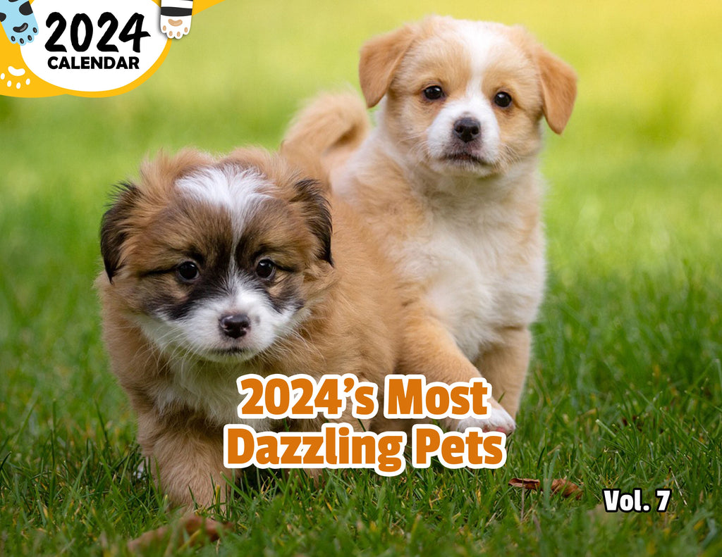 2024's Most Dazzling Pets Volume Seven: 2024 Wall Calendar (Published)