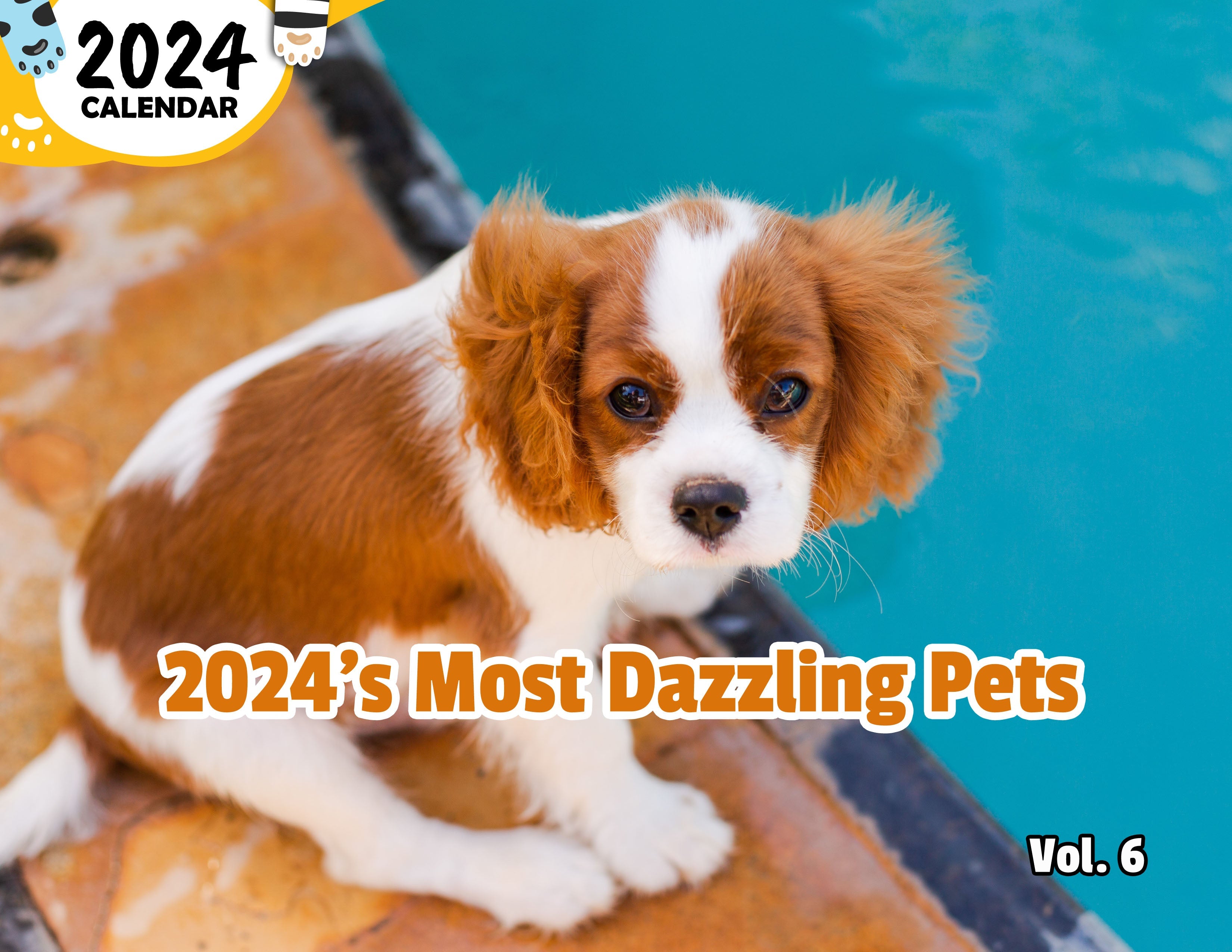 2024's Most Dazzling Pets Volume Six: 2024 Wall Calendar (Published)