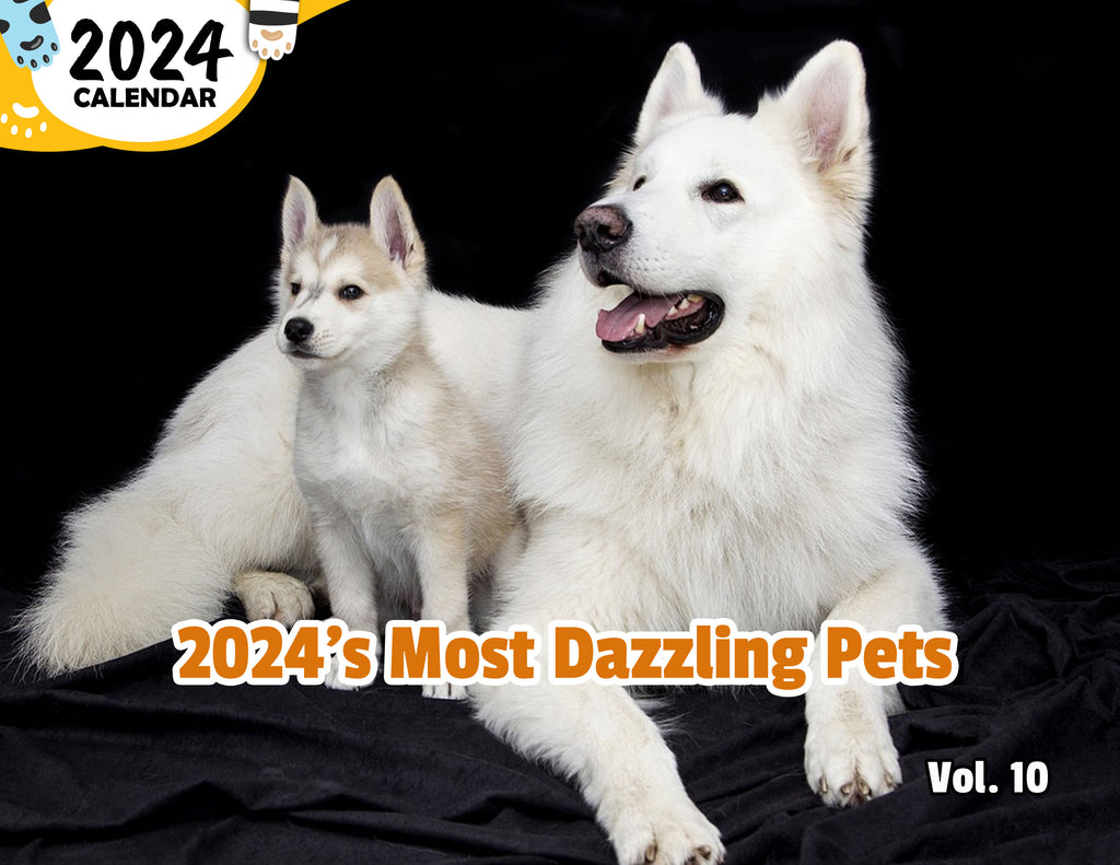 2024's Most Dazzling Pets Volume Ten: 2024 Wall Calendar (Pre-Order)