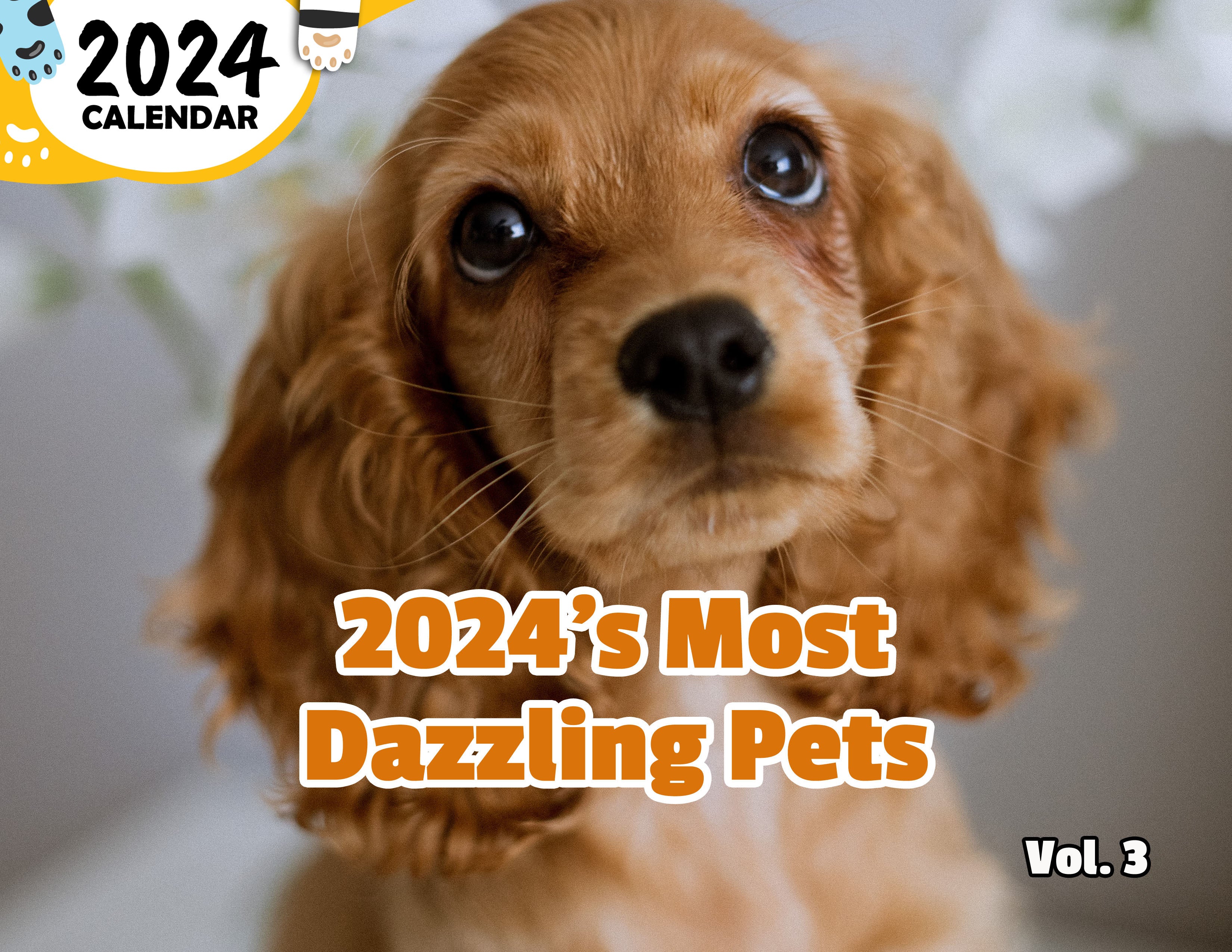 2024's Most Dazzling Pets Volume Three: 2024 Wall Calendar (Published)