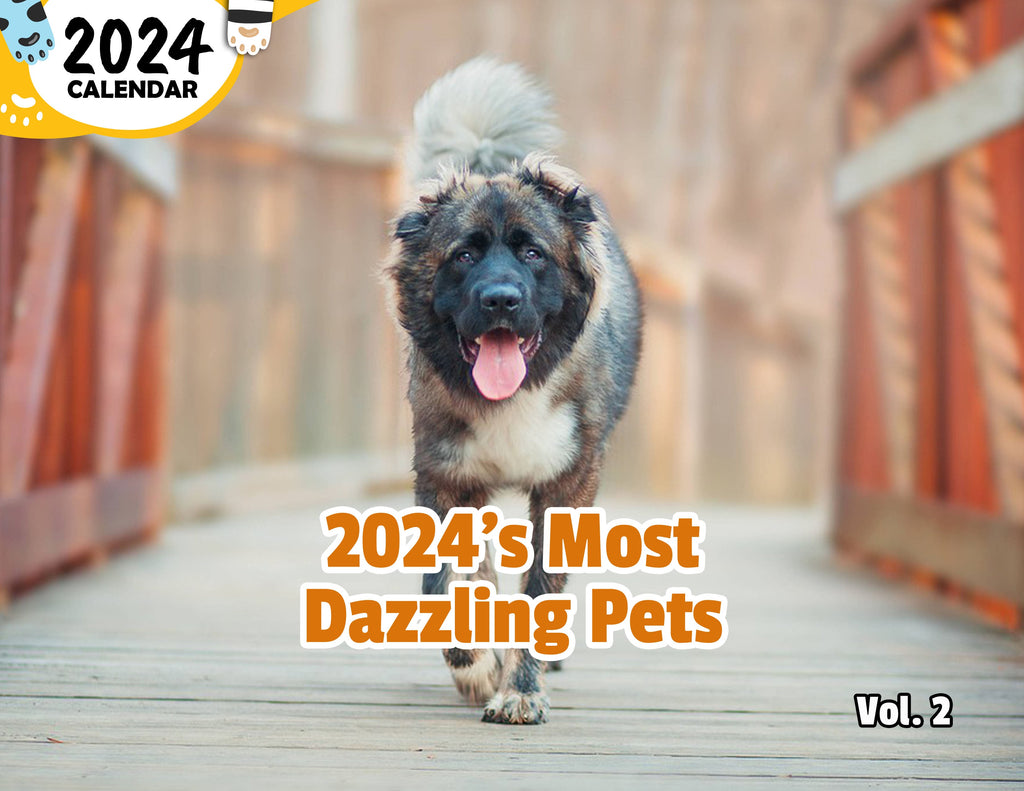 2024's Most Dazzling Pets Volume Two: 2024 Wall Calendar (Published)