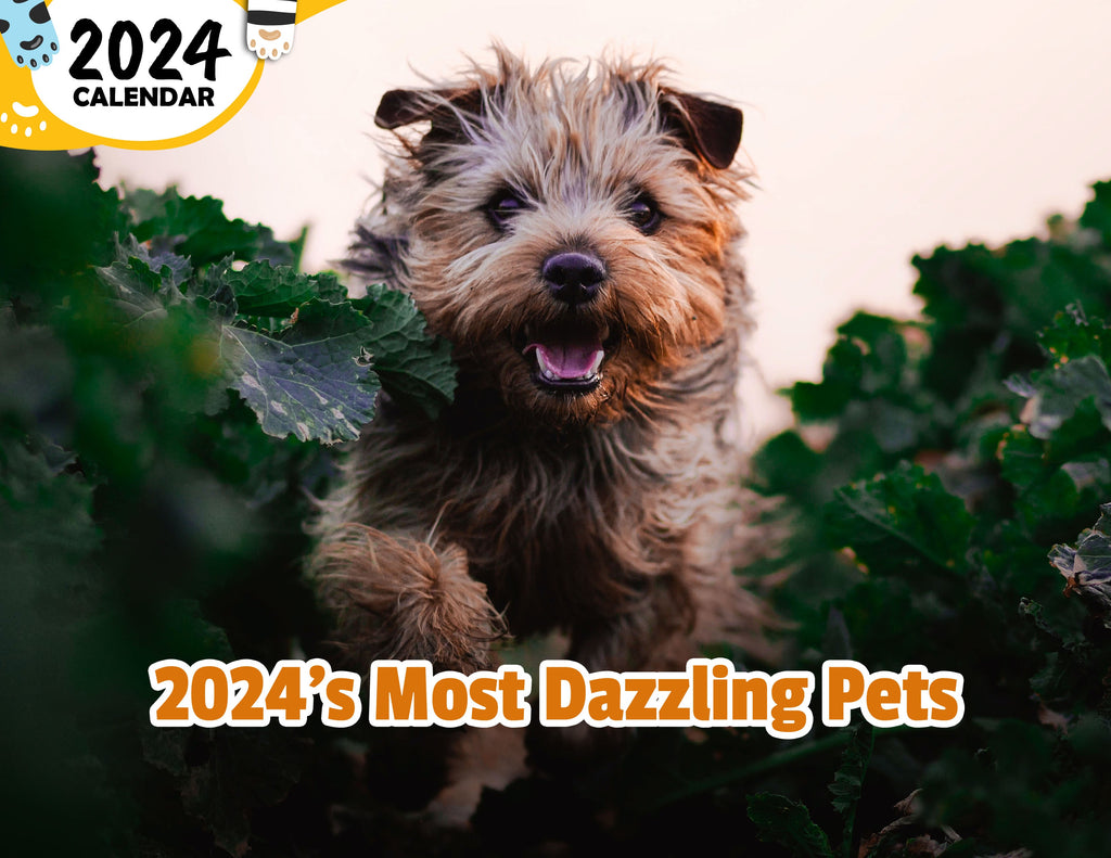 2024's Most Dazzling Pets: 2024 Wall Calendar (Published)