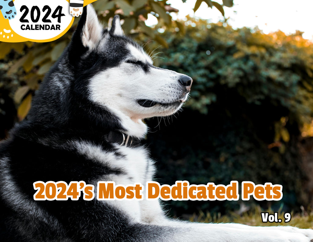 2024's Most Dedicated Pets Volume Nine: 2024 Wall Calendar (Published)
