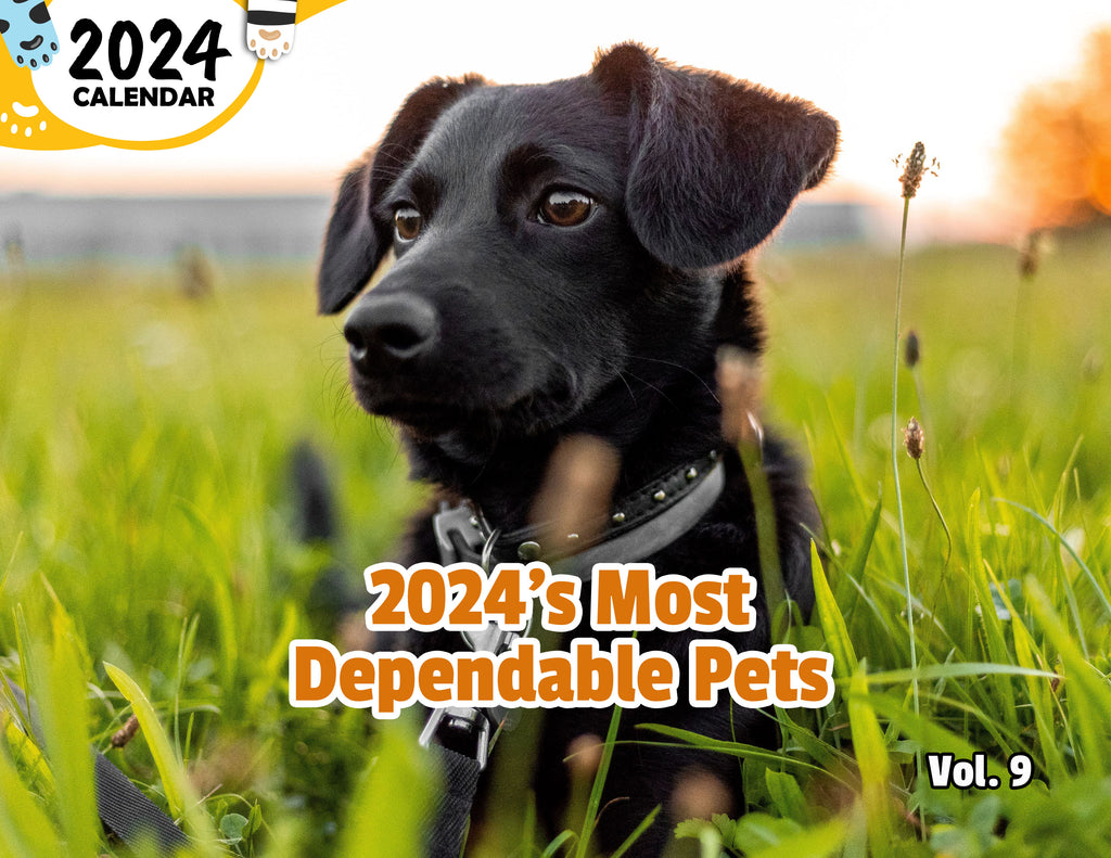 2024's Most Dependable Pets Volume Nine: 2024 Wall Calendar (Published)