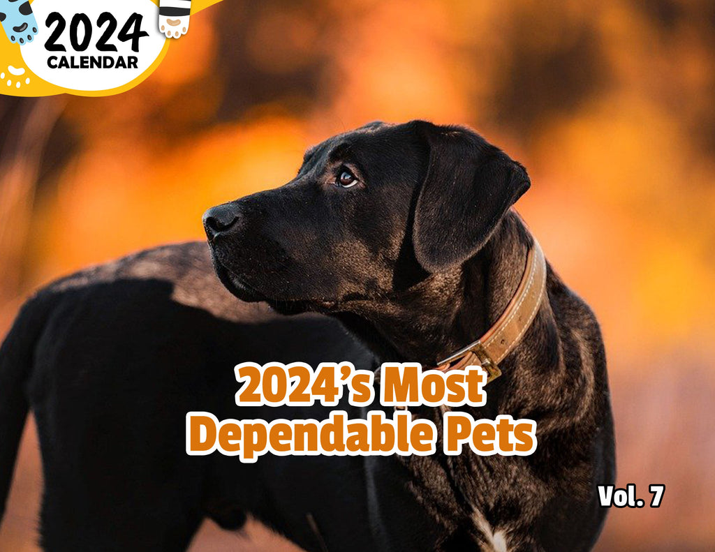 2024's Most Dependable Pets Volume Seven: 2024 Wall Calendar (Published)