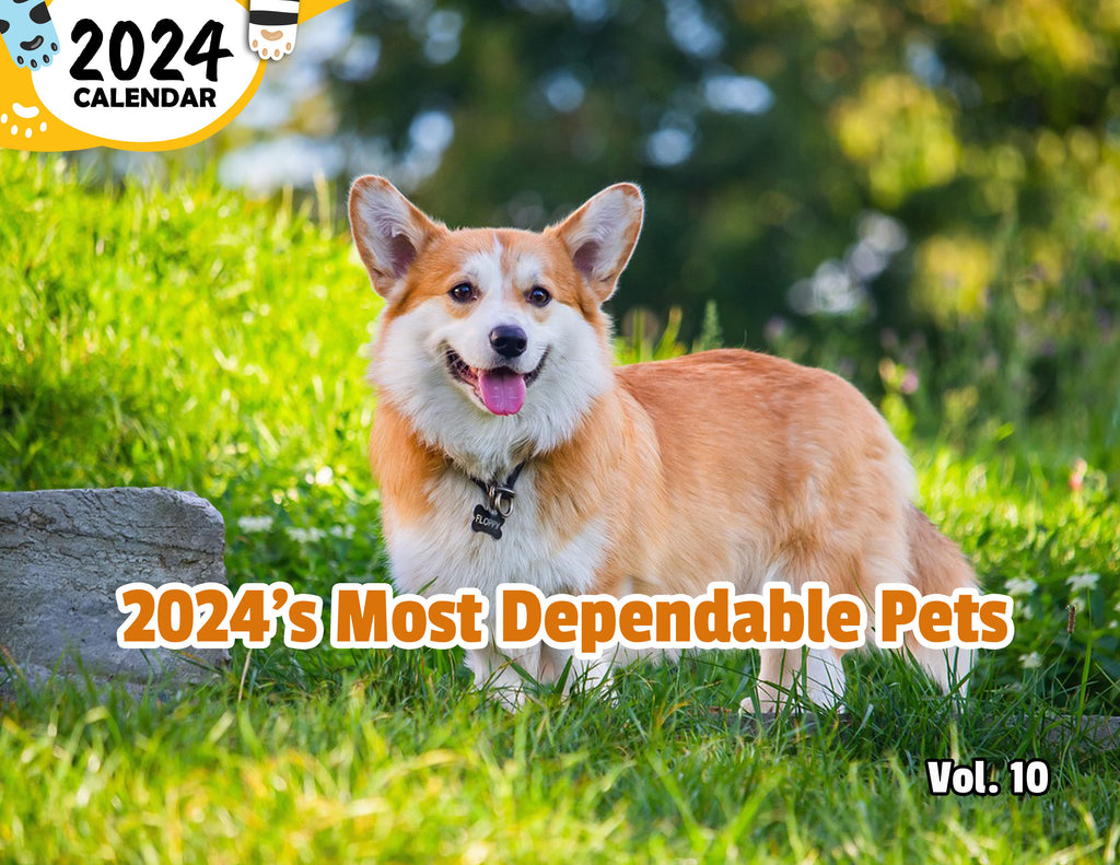 2024's Most Dependable Pets Volume Ten: 2024 Wall Calendar (Published)