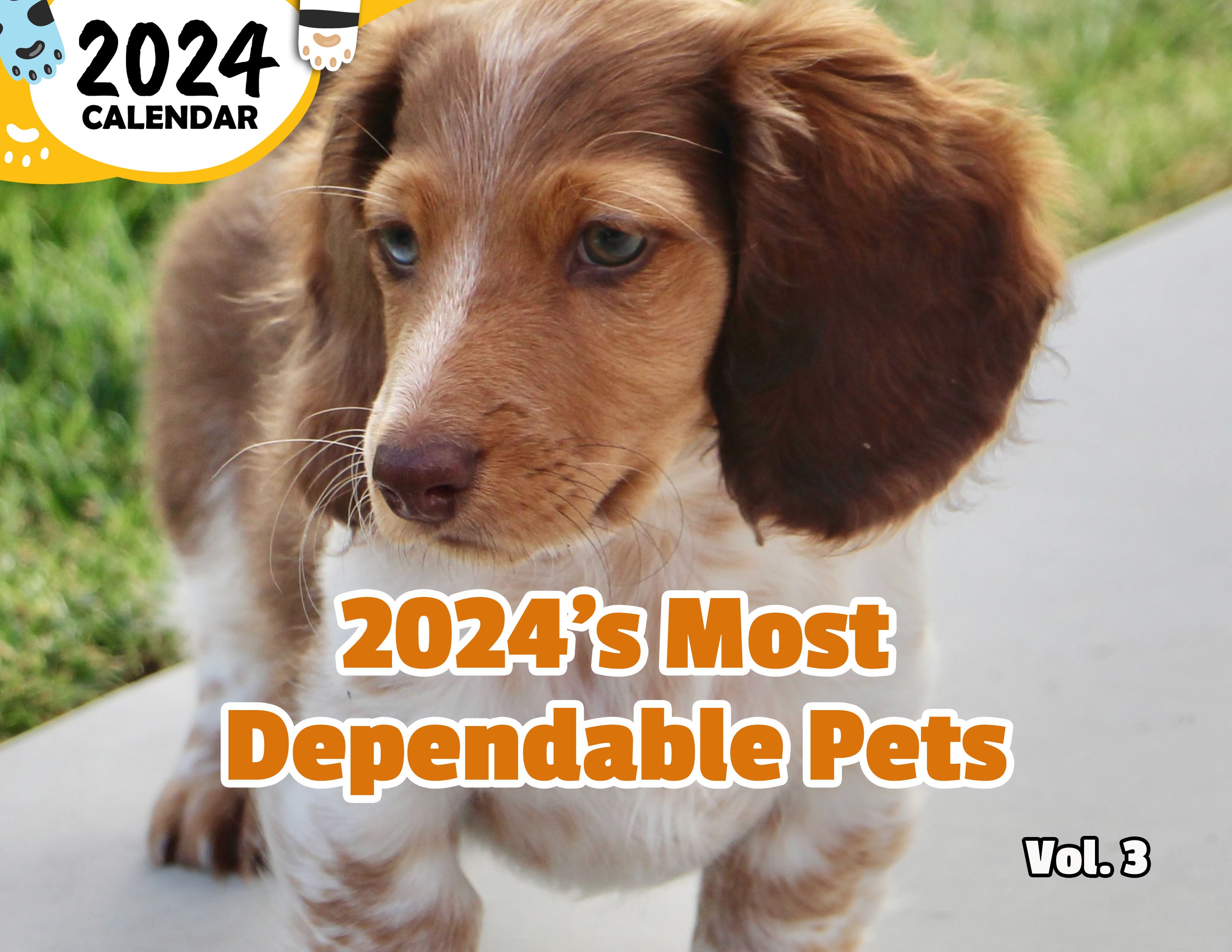 2024's Most Dependable Pets Volume Three: 2024 Wall Calendar (Published)