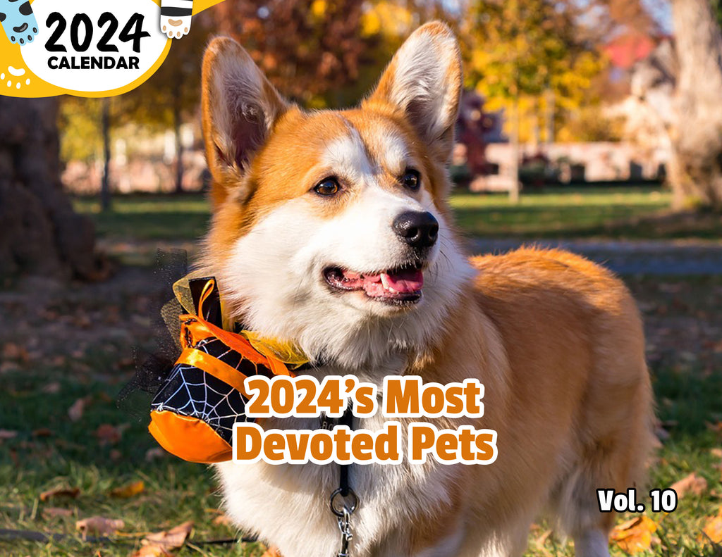 2024's Most Devoted Pets Volume Ten: 2024 Wall Calendar (Published)