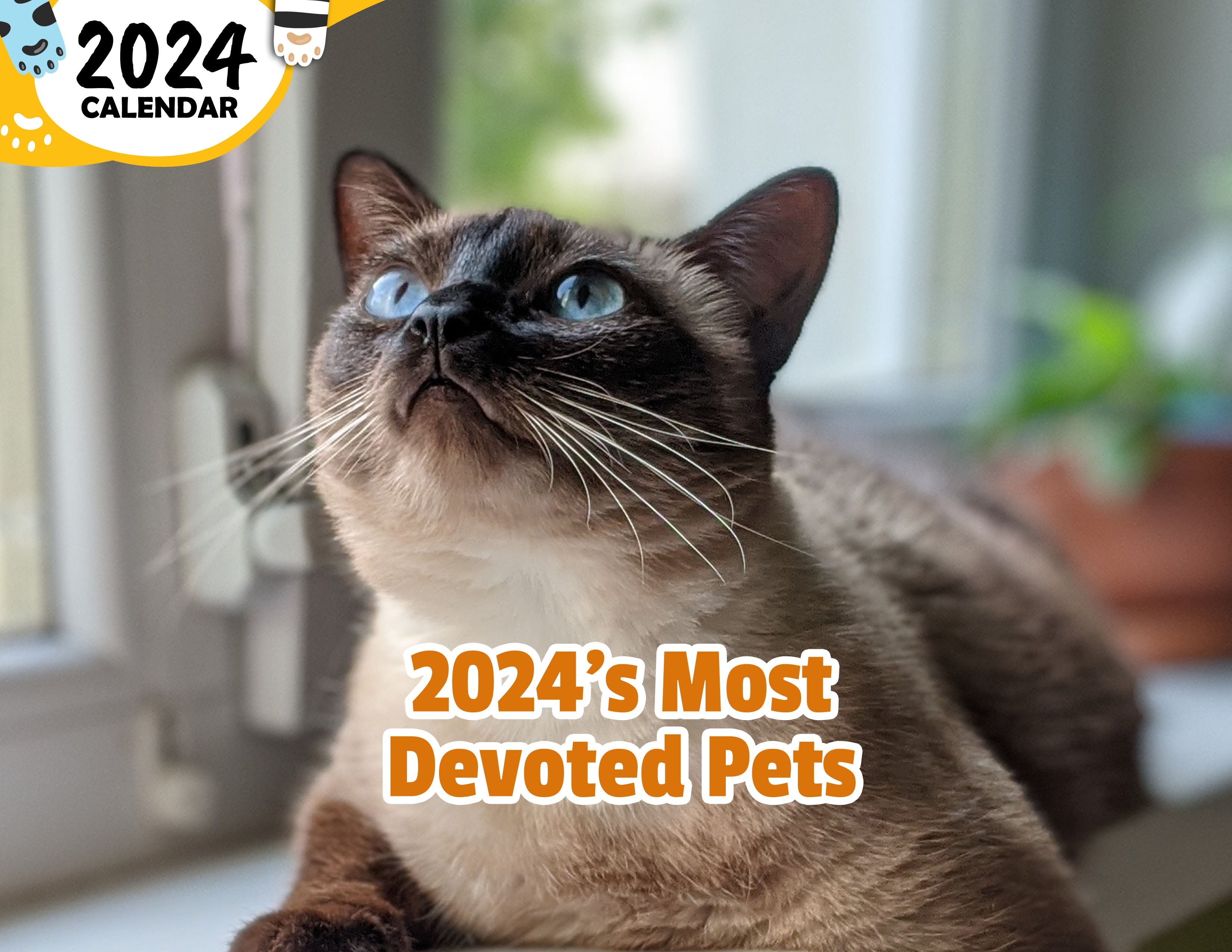 2024's Most Devoted Pets: 2024 Wall Calendar (Published)