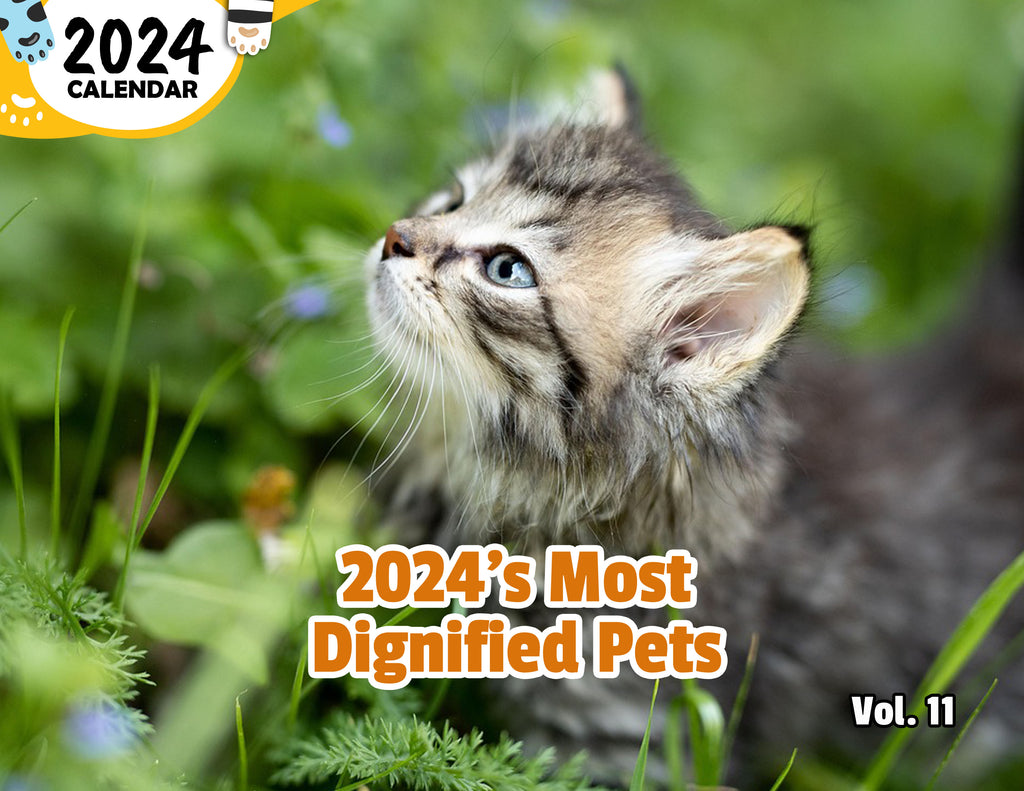 2024's Most Dignified Pets Volume Eleven: 2024 Wall Calendar (Pre-Order)