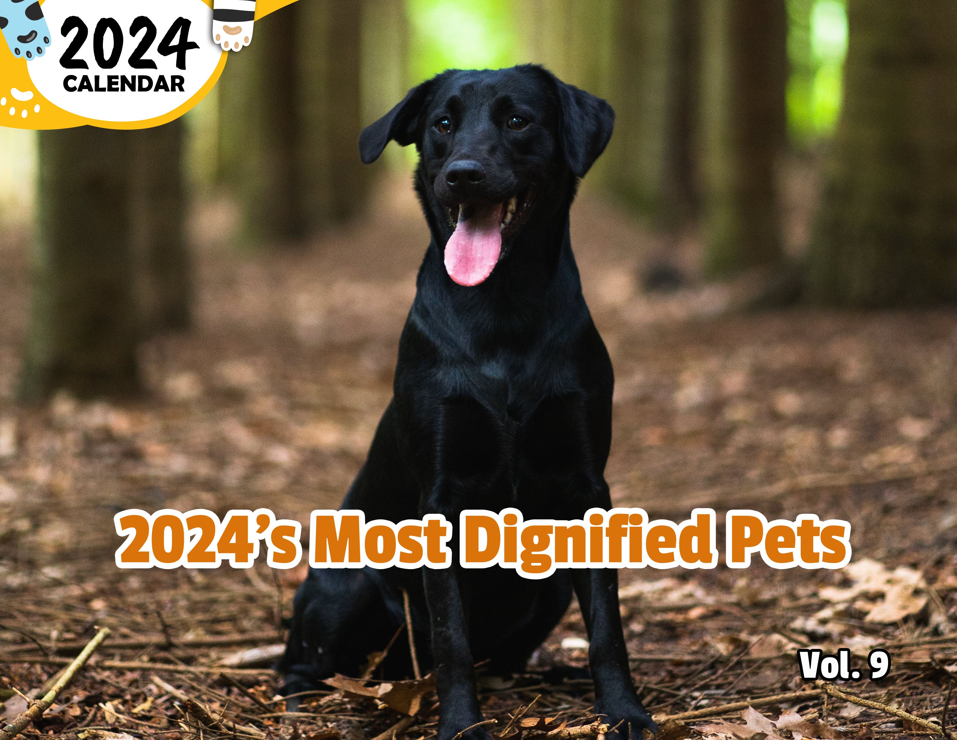 2024's Most Dignified Pets Volume Nine: 2024 Wall Calendar (Published)