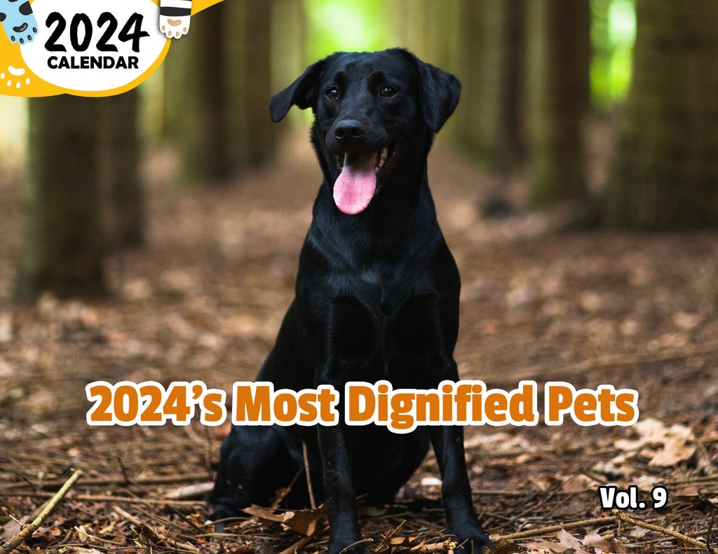 2024's Most Dignified Pets Volume Nine: 2024 Wall Calendar (Published)