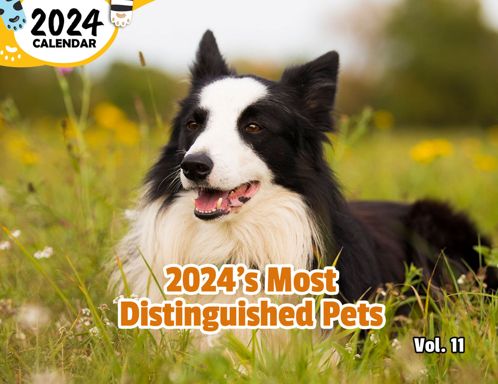 2024's Most Distinguished Pets Volume Eleven: 2024 Wall Calendar (Published)