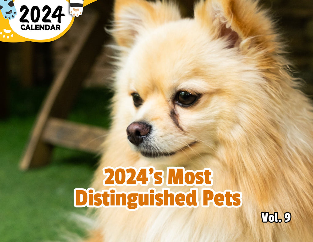 2024's Most Distinguished Pets Volume Nine: 2024 Wall Calendar (Published)